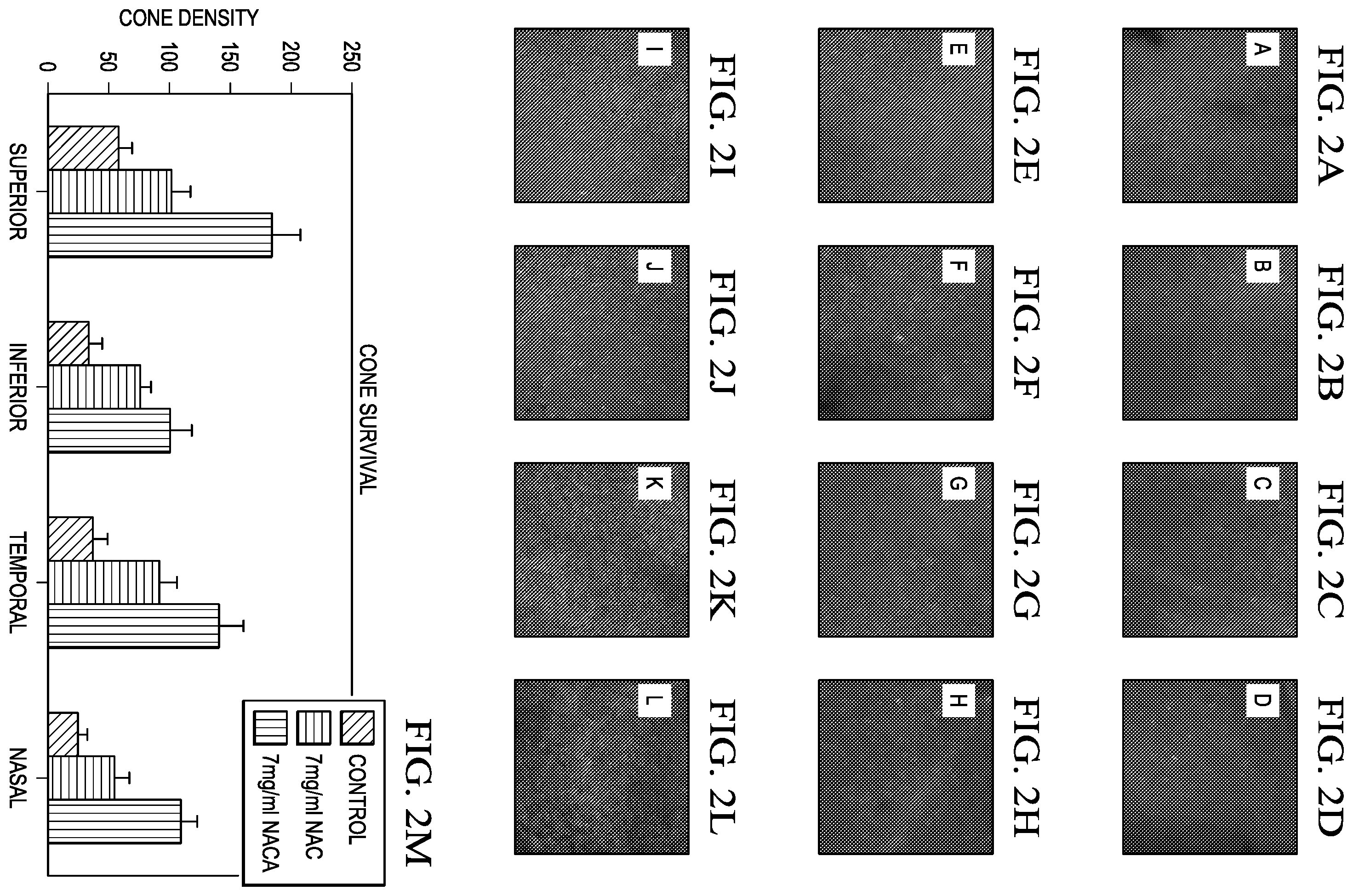 Patent US12472157 Figure 3 – Treatment of retinitis pigmentosa with n-acetylcysteine amide