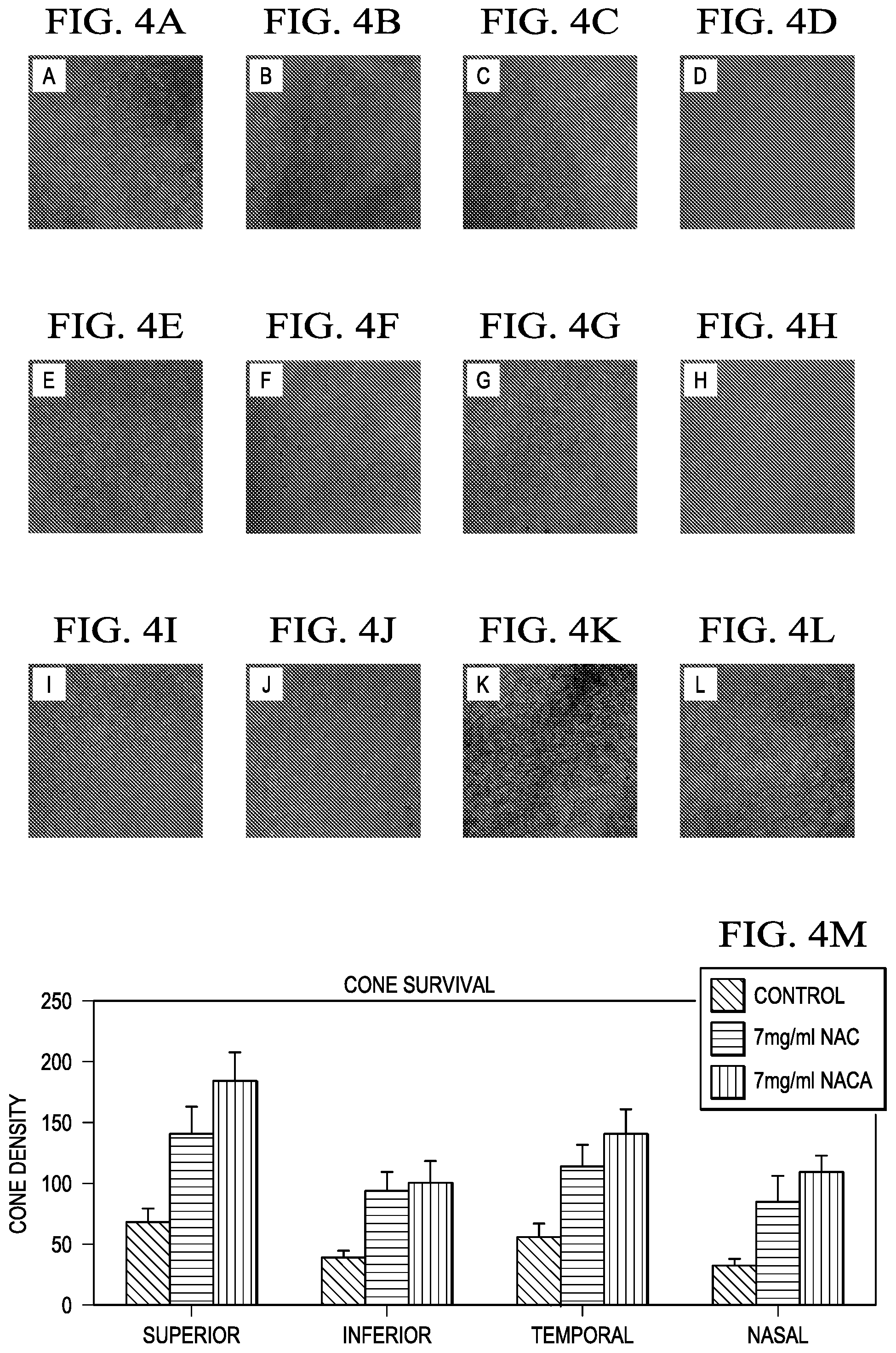 Patent US12472157 Figure 6 – Treatment of retinitis pigmentosa with n-acetylcysteine amide