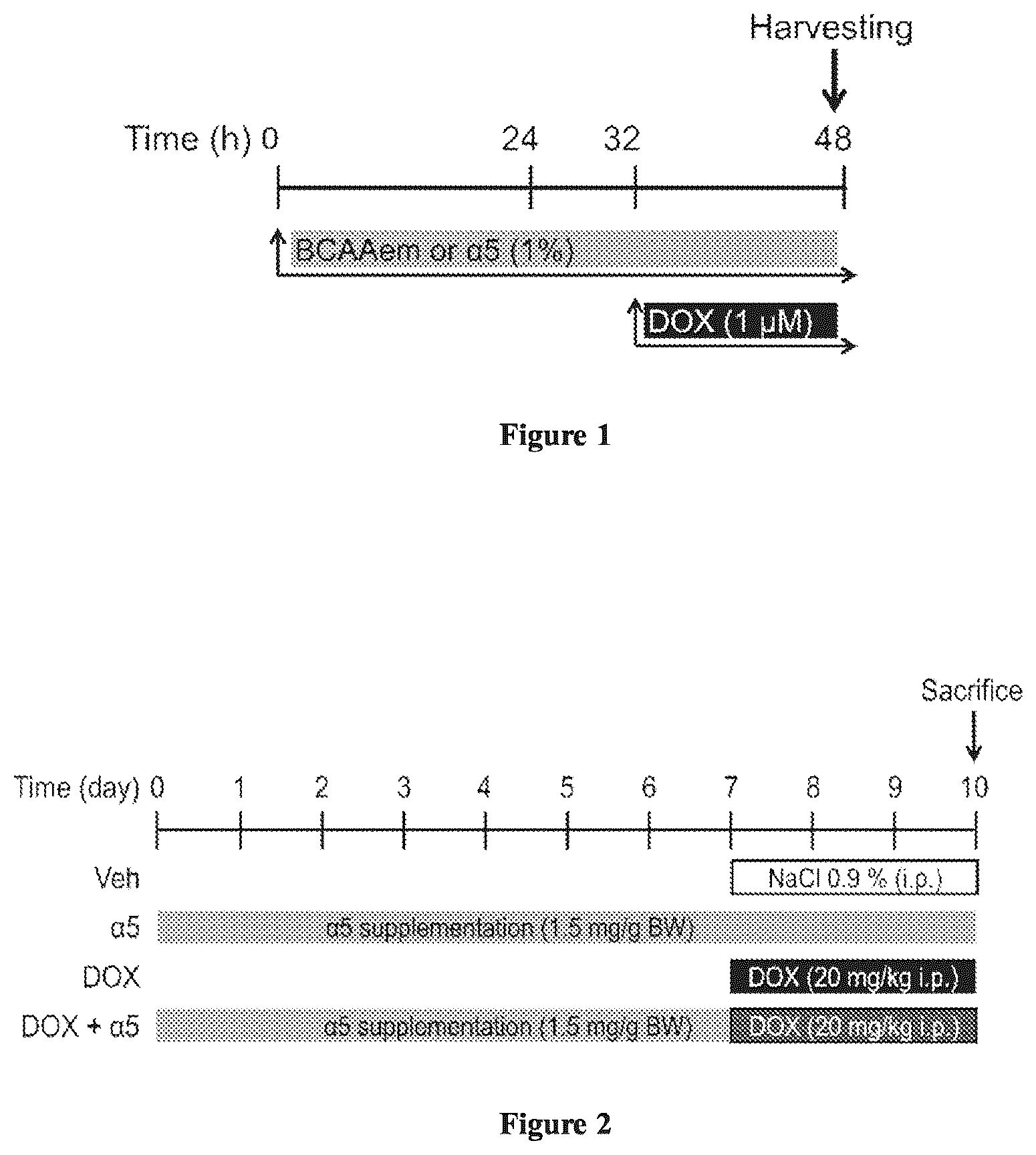 Patent US12472159 — Compositions comprising amino acids for use in the prevention and treatment of chemotherapy side effects — Figure 1