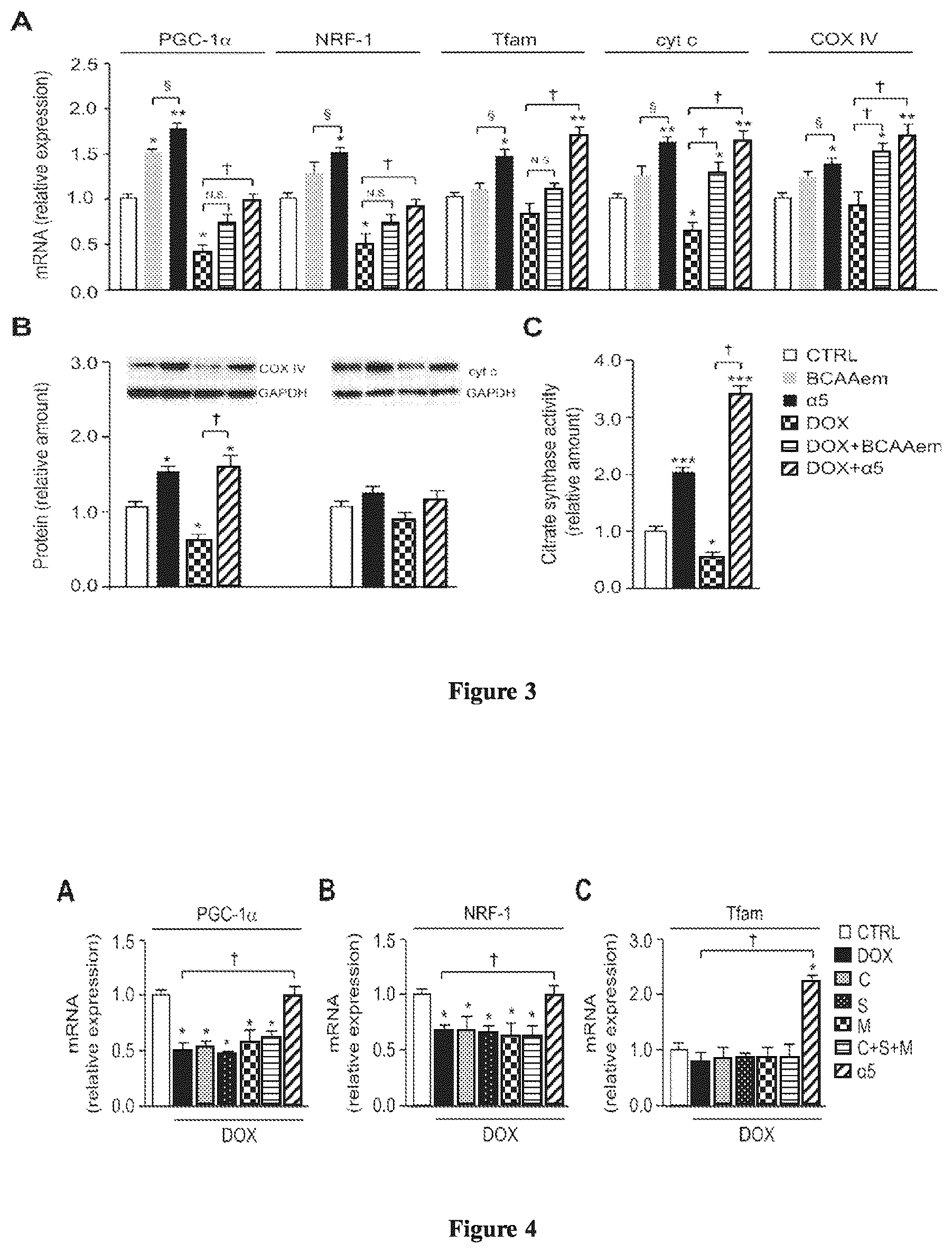 Patent US12472159 Figure 2 – Compositions comprising amino acids for use in the prevention and treatment of chemotherapy side effects