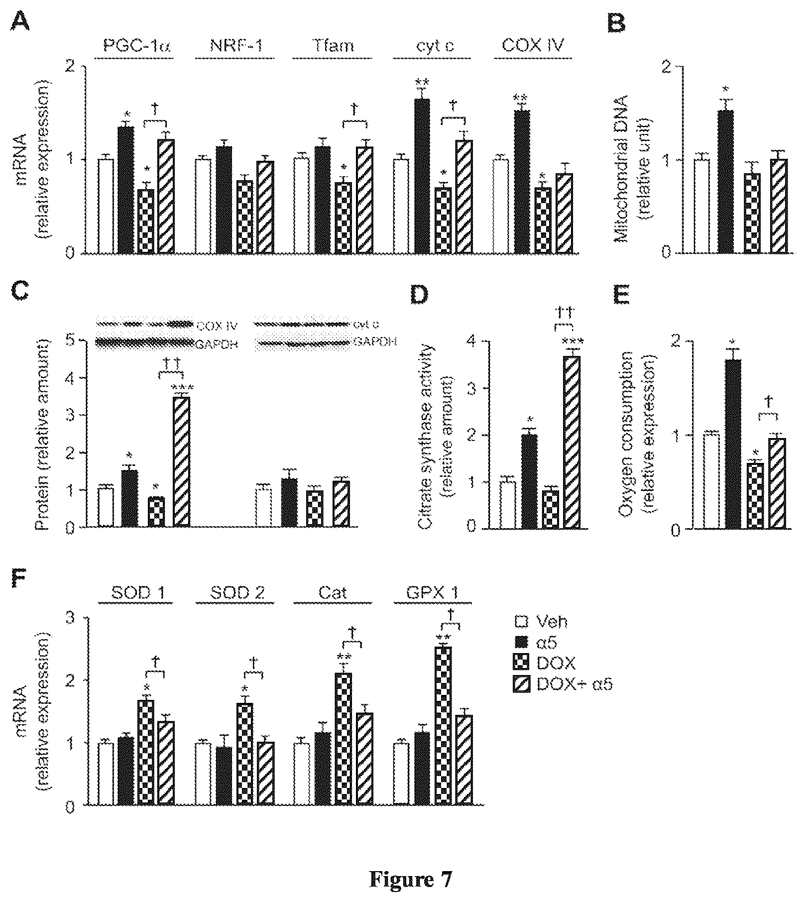 Patent US12472159 Figure 4 – Compositions comprising amino acids for use in the prevention and treatment of chemotherapy side effects