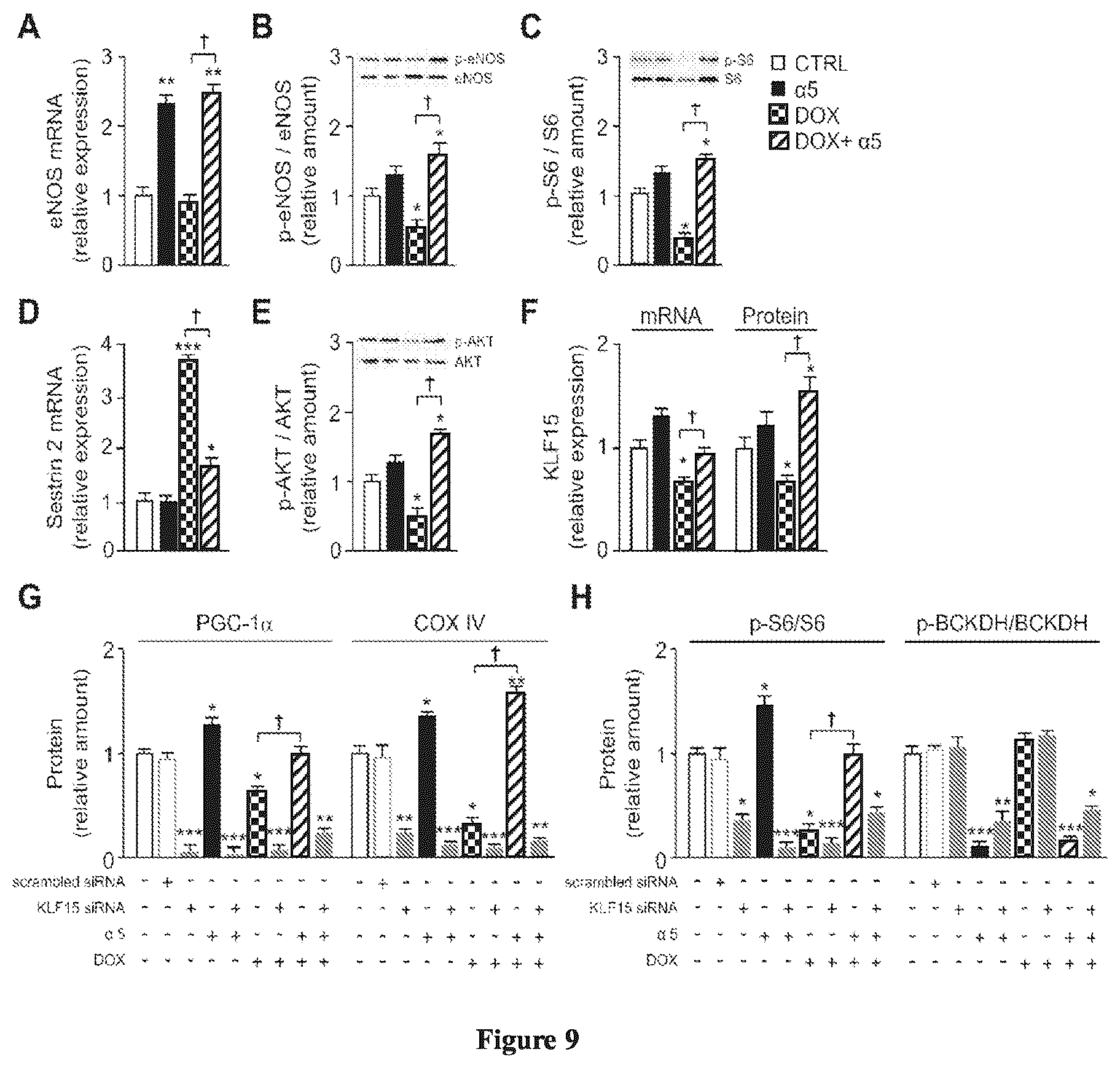 Patent US12472159 Figure 6 – Compositions comprising amino acids for use in the prevention and treatment of chemotherapy side effects