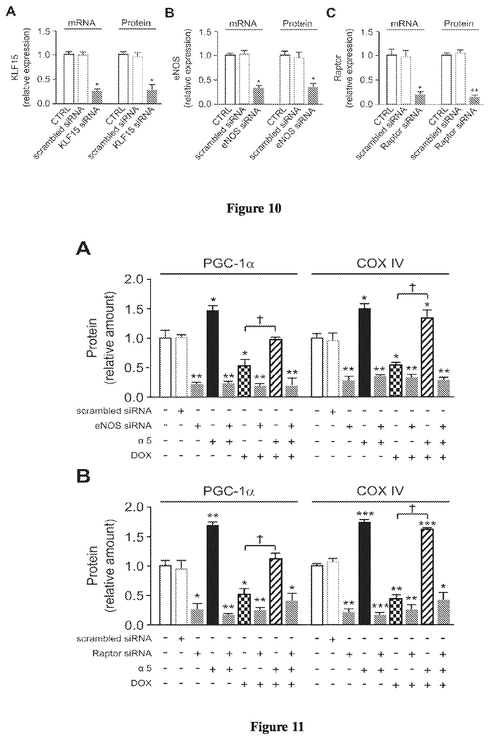 Patent US12472159 Figure 7 – Compositions comprising amino acids for use in the prevention and treatment of chemotherapy side effects
