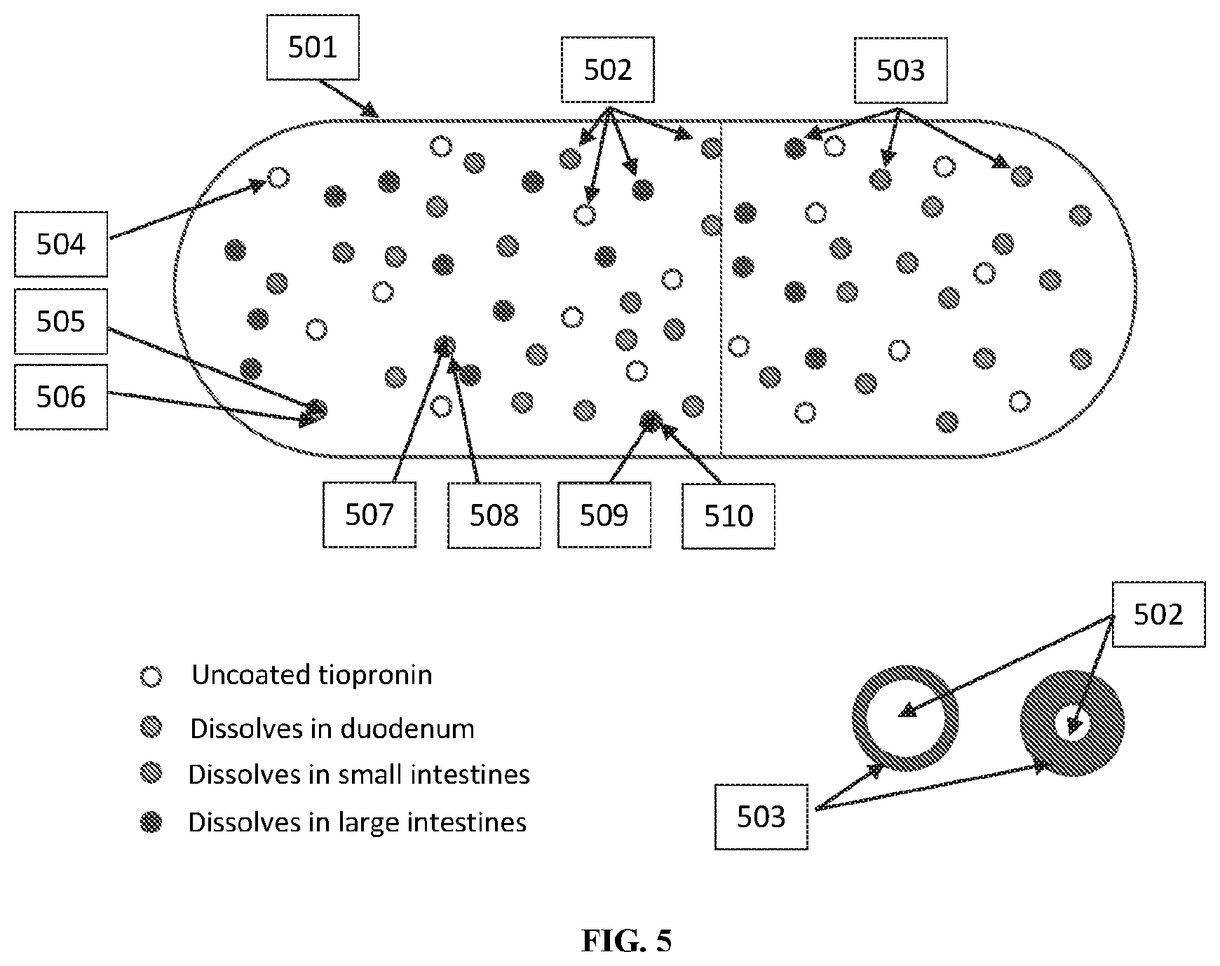 Patent US12472160 Figure 5 – Modified-release tiopronin compositions, kits and methods for treating cystinuria and related disorders