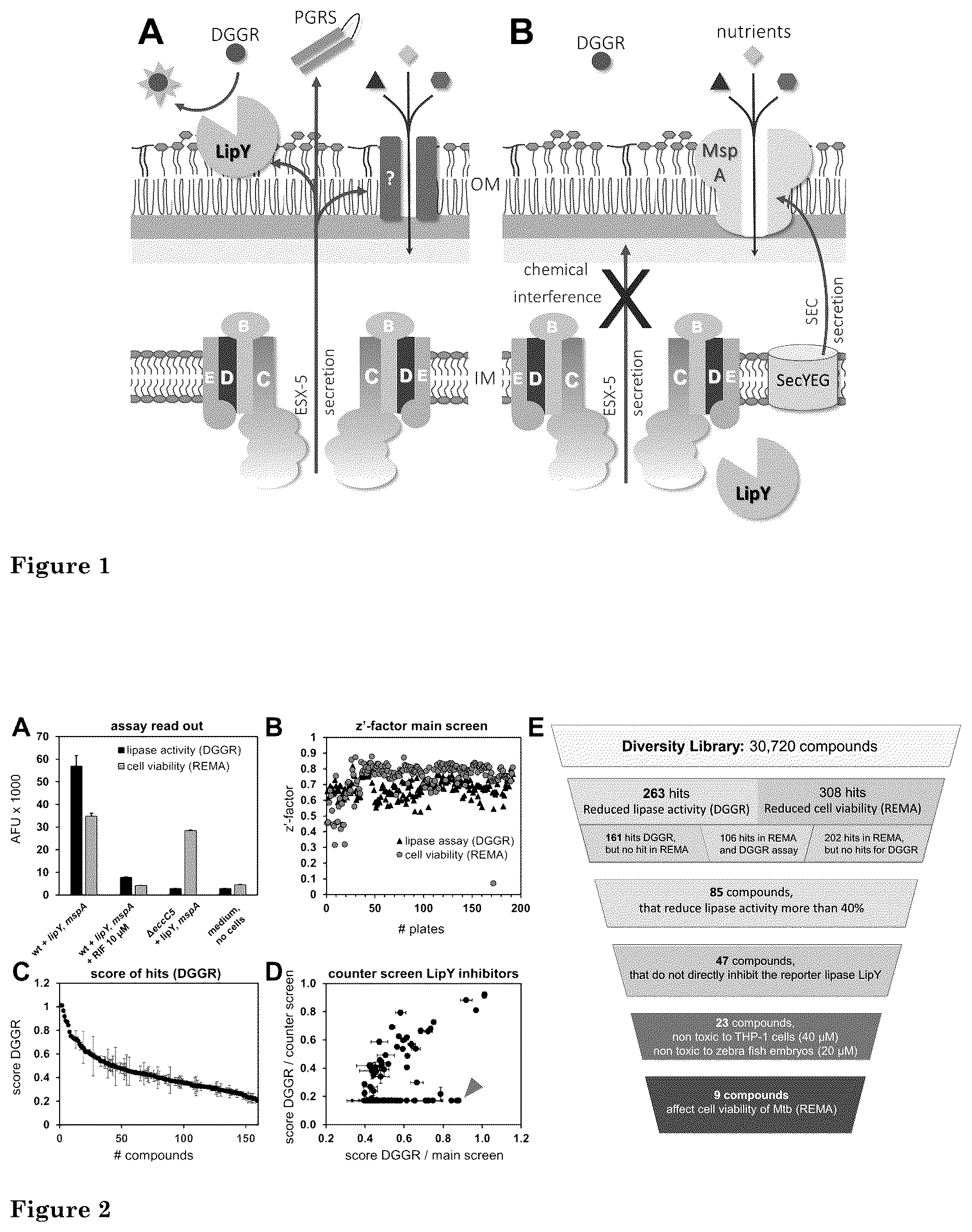 Patent US12472166 Figure 1 – Inhibition of mycobacterial type VII secretion