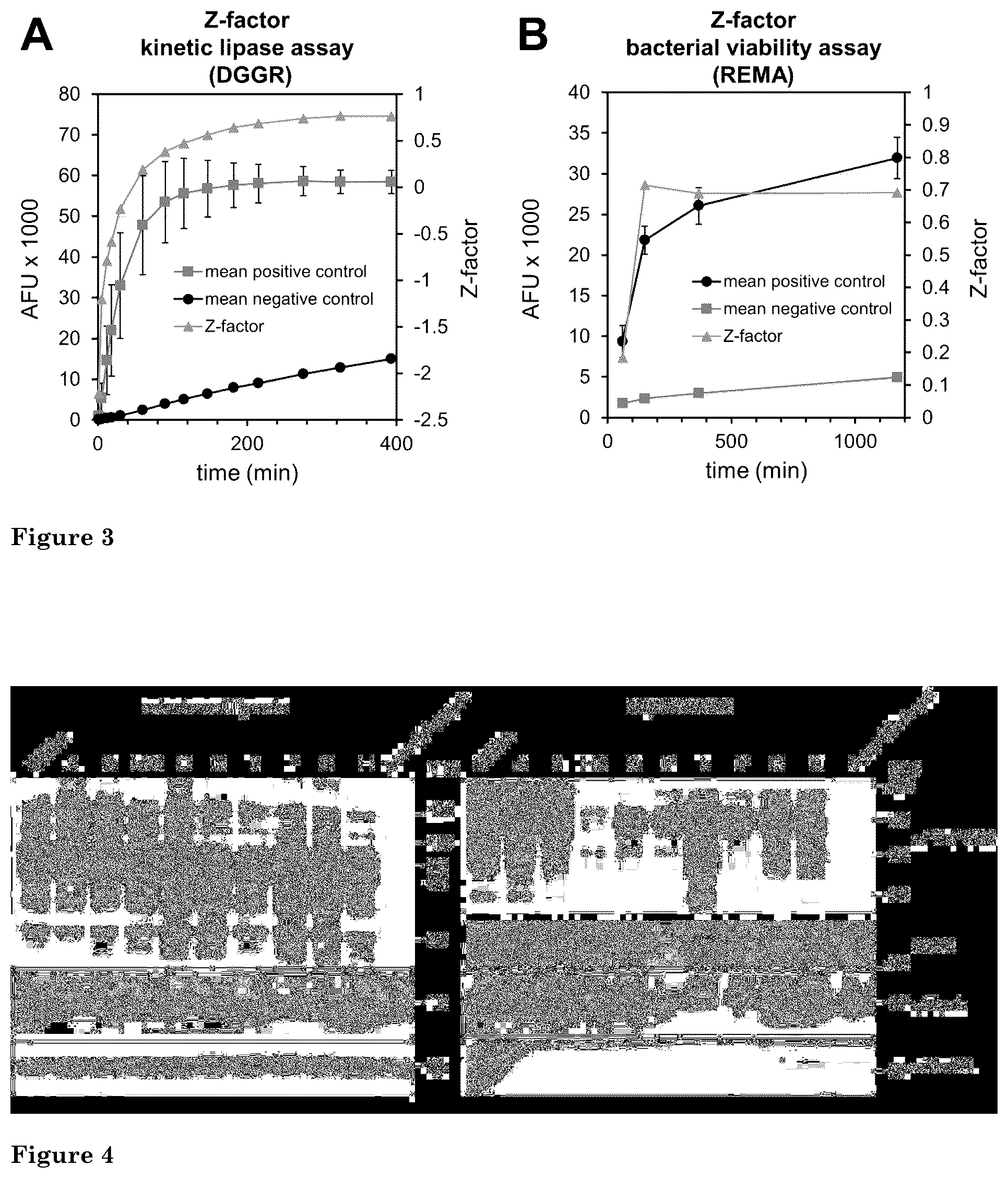 Patent US12472166 Figure 2 – Inhibition of mycobacterial type VII secretion