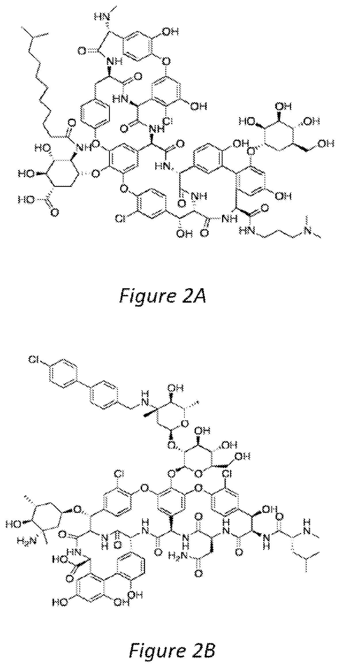 Patent US12472168 Figure 2 – Ring-fused thiazolino 2-pyridones, methods for preparation thereof and their use in the treatment and/or prevention of a disease involving gram-positive bacteria