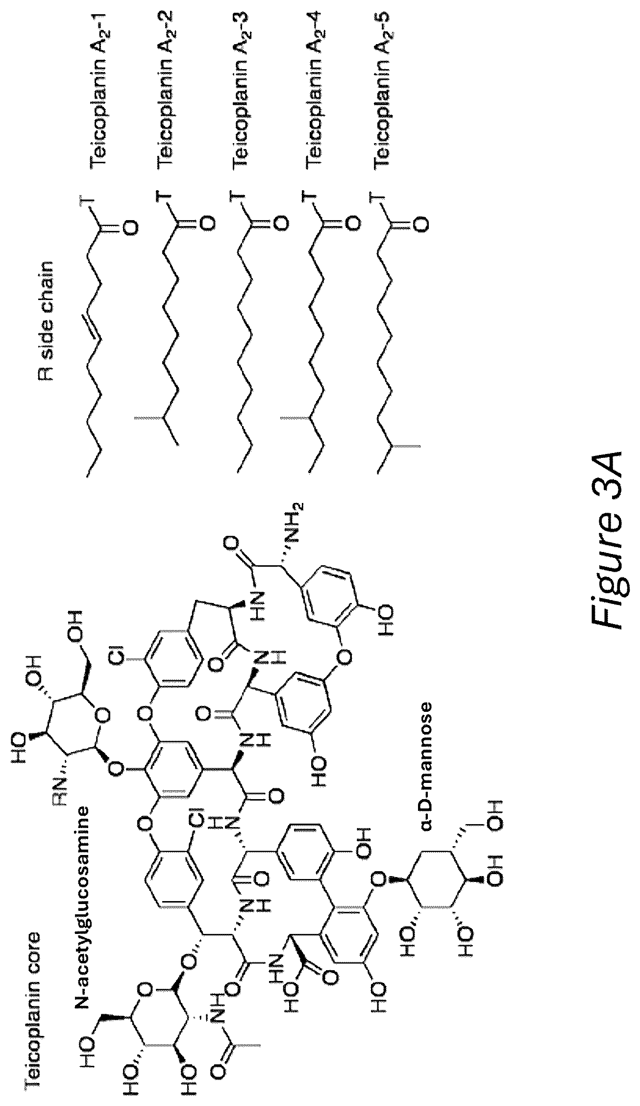Patent US12472168 Figure 3 – Ring-fused thiazolino 2-pyridones, methods for preparation thereof and their use in the treatment and/or prevention of a disease involving gram-positive bacteria