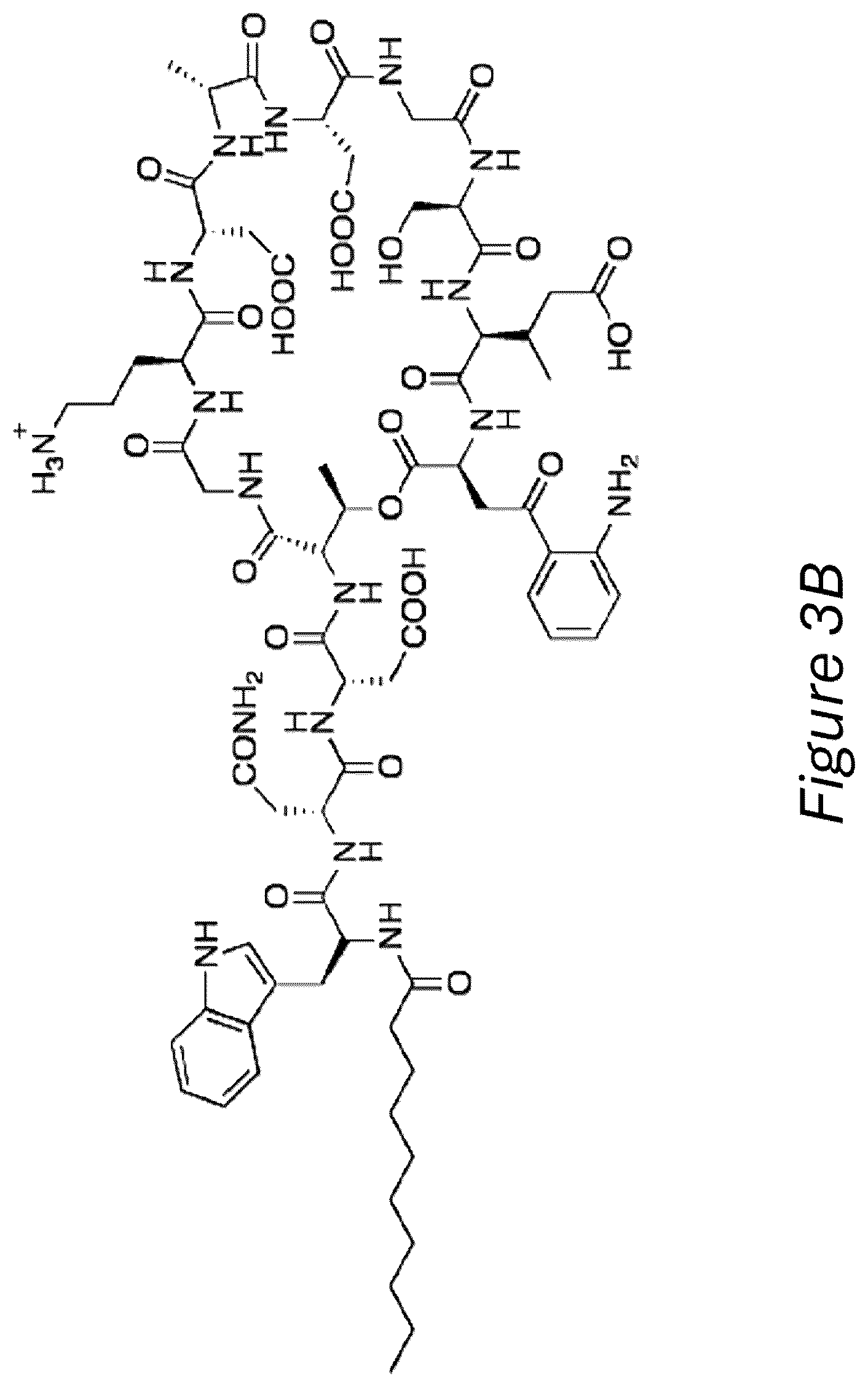 Patent US12472168 Figure 4 – Ring-fused thiazolino 2-pyridones, methods for preparation thereof and their use in the treatment and/or prevention of a disease involving gram-positive bacteria