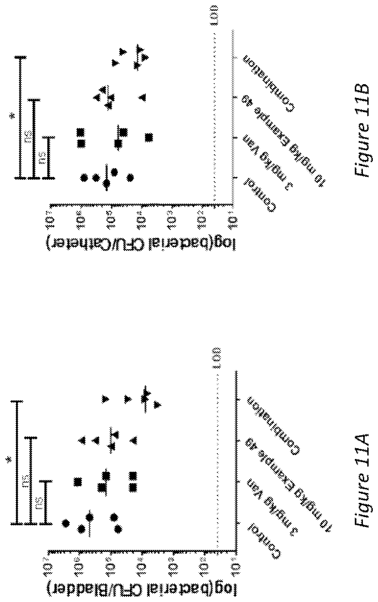 Patent US12472168 Figure 11 – Ring-fused thiazolino 2-pyridones, methods for preparation thereof and their use in the treatment and/or prevention of a disease involving gram-positive bacteria