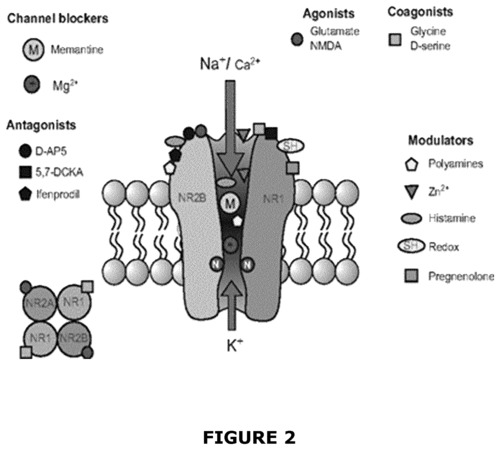 Patent US12472170 Figure 2 – Use of glutamate 2B receptor antagonists and sigma receptor agonists as antitussives