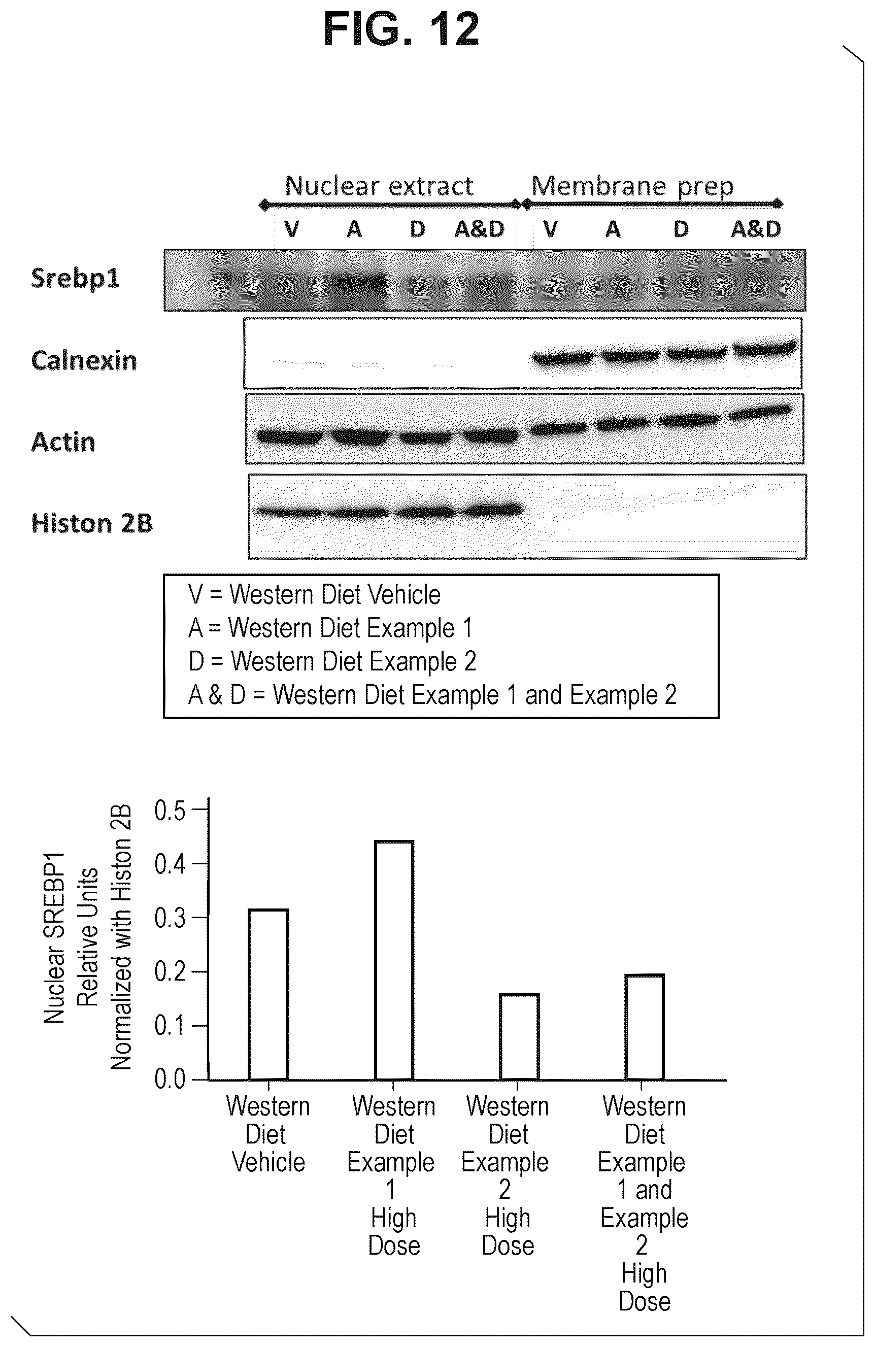 Patent US12472180 Figure 11 – Combinations for treatment of NAFLD/NASH and related diseases