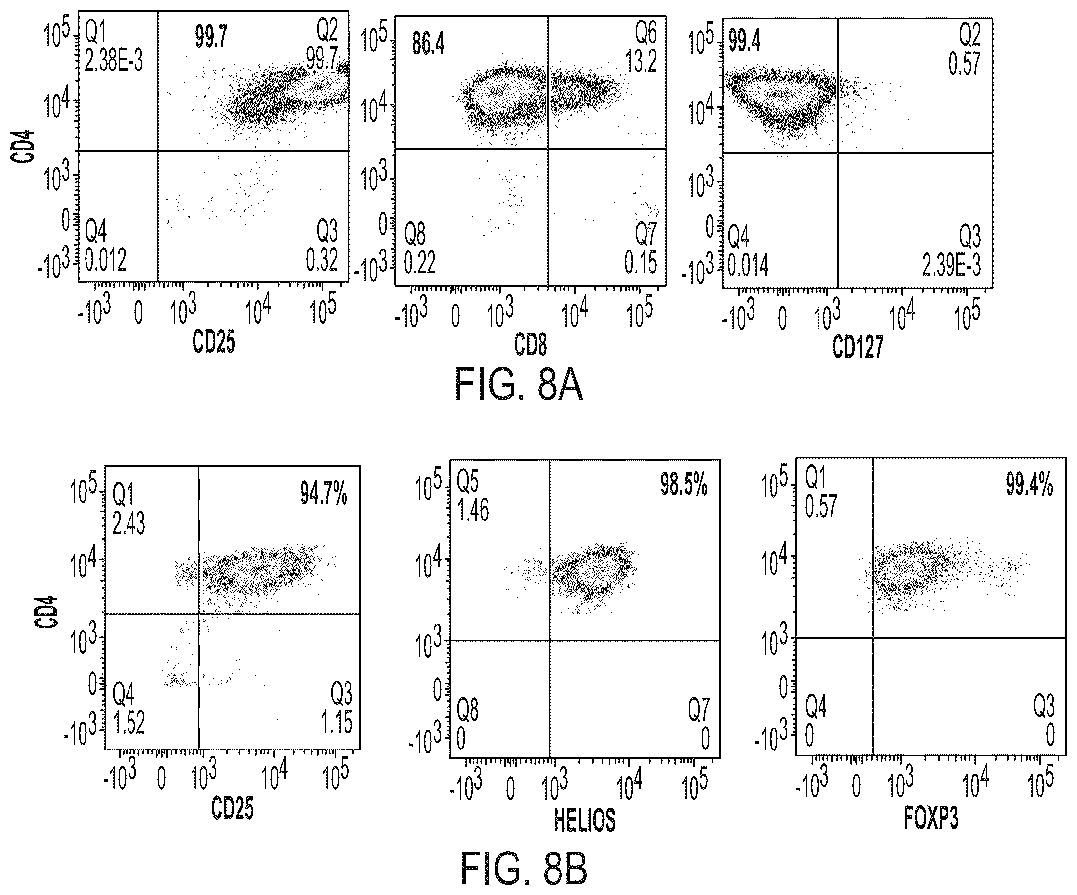 Patent US12472182 Figure 13 – Compositions comprising regulatory t cells and methods of making and using the same