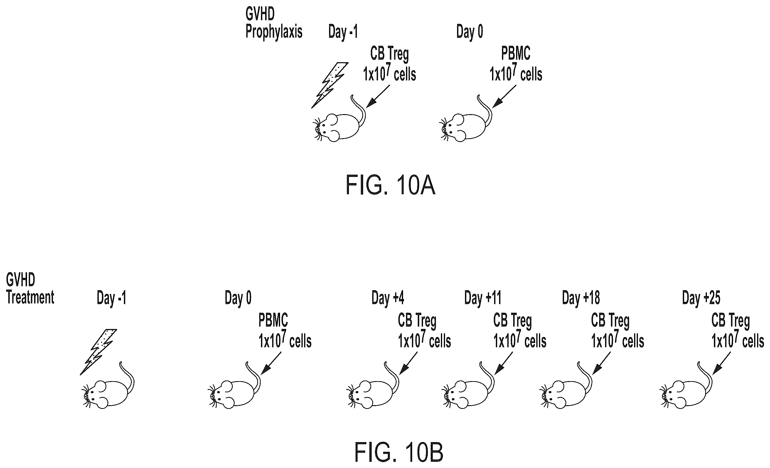 Patent US12472182 Figure 16 – Compositions comprising regulatory t cells and methods of making and using the same