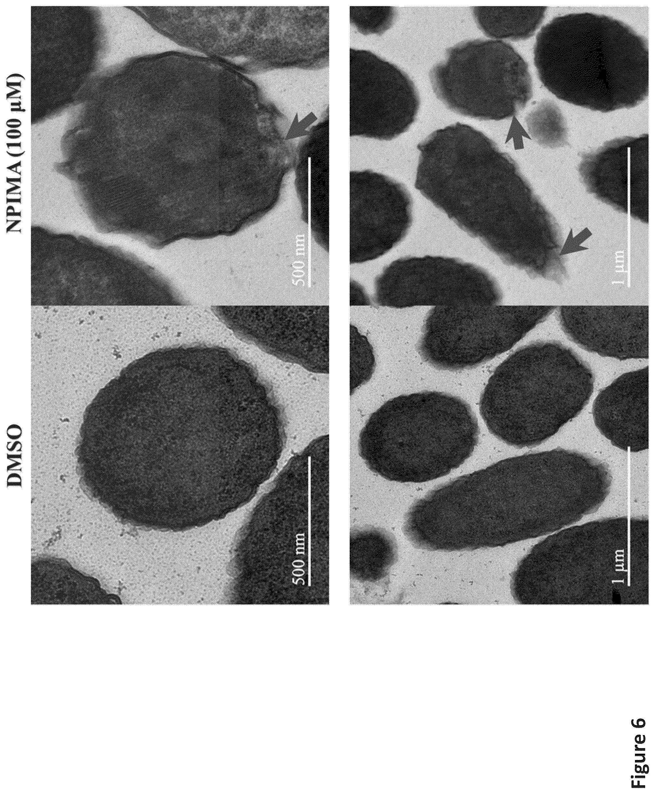 Patent US12472185 Figure 10 – Methods for killing antibiotic tolerant bacteria