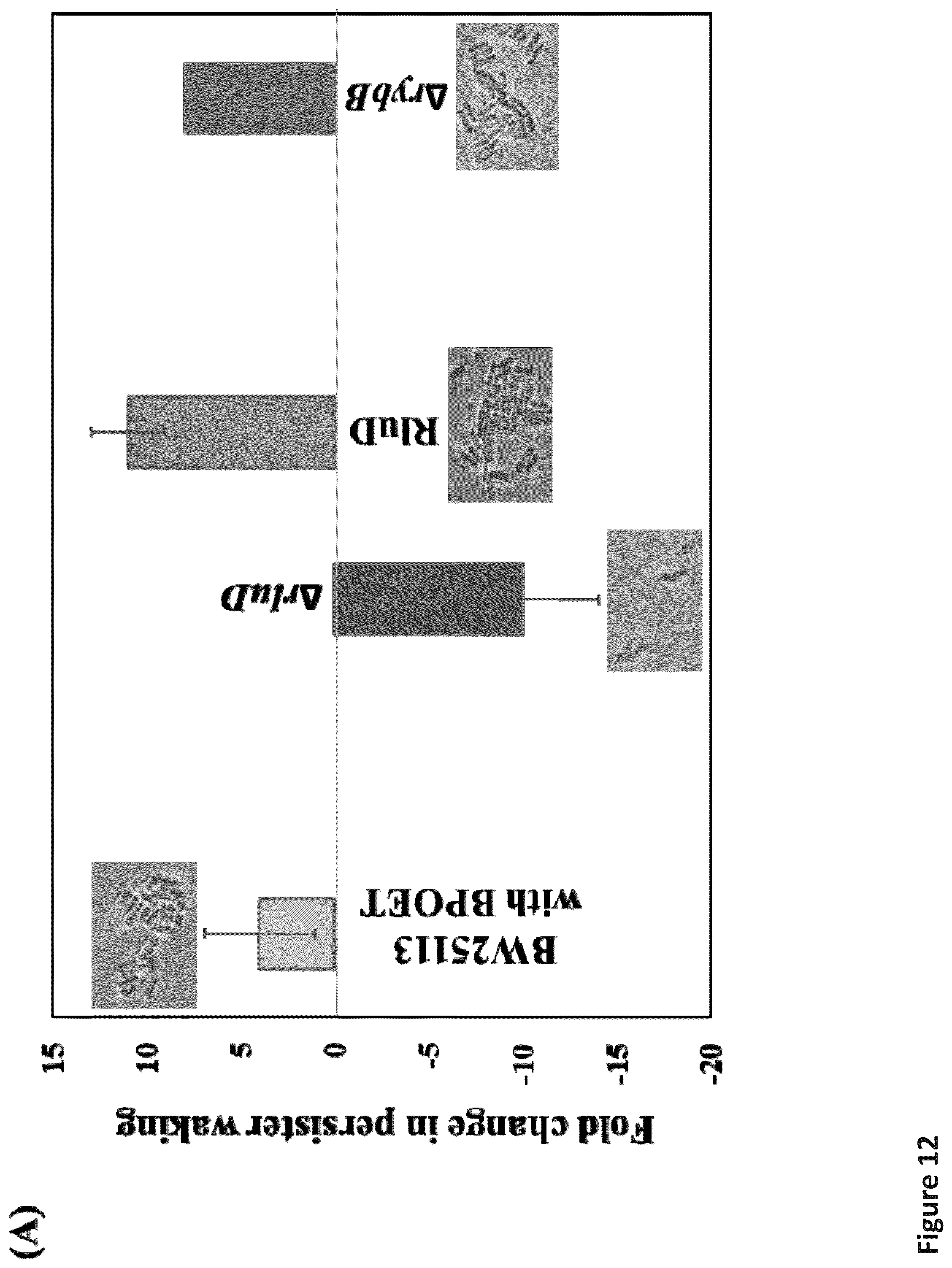Patent US12472185 Figure 19 – Methods for killing antibiotic tolerant bacteria
