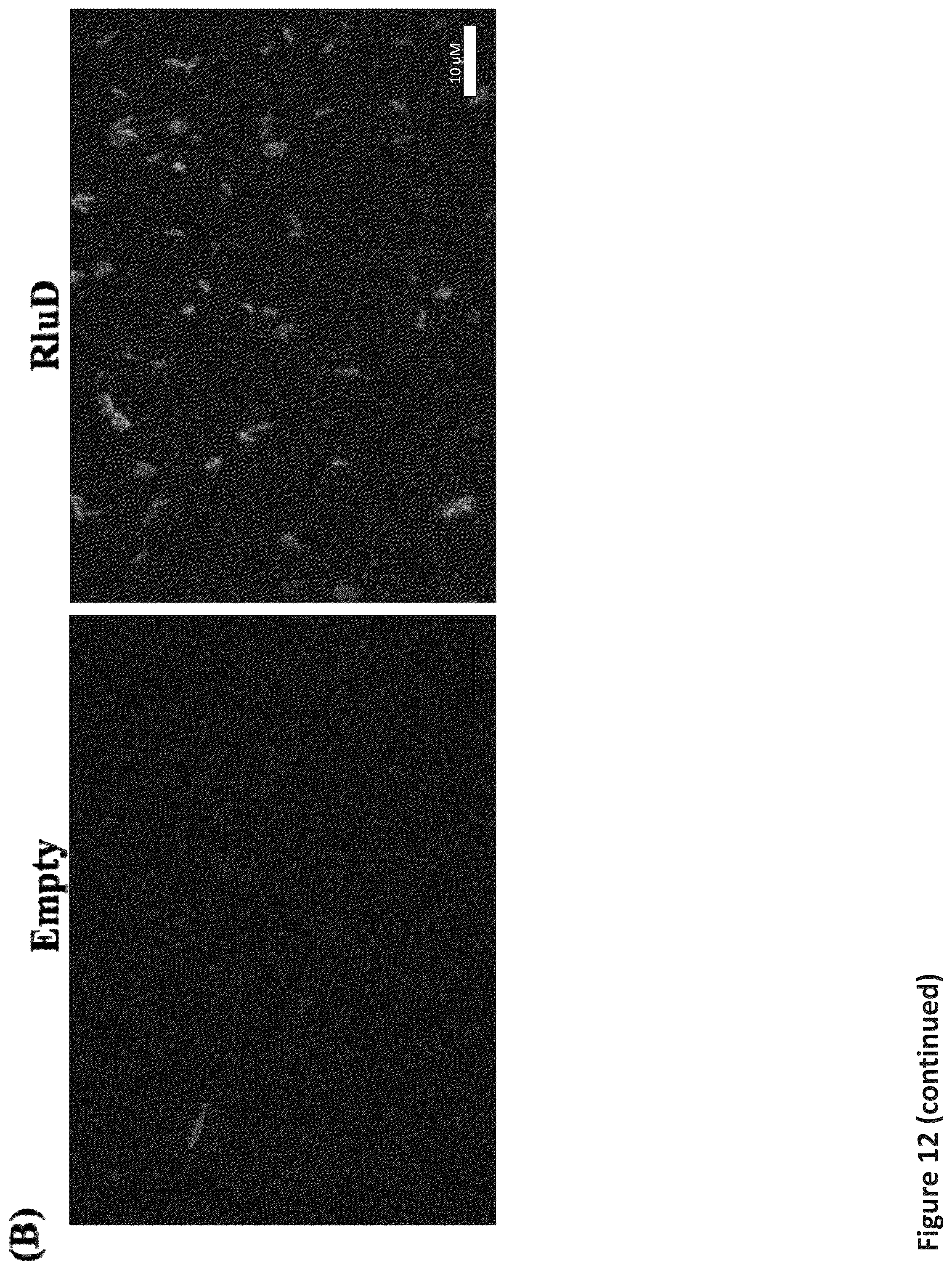 Patent US12472185 Figure 20 – Methods for killing antibiotic tolerant bacteria