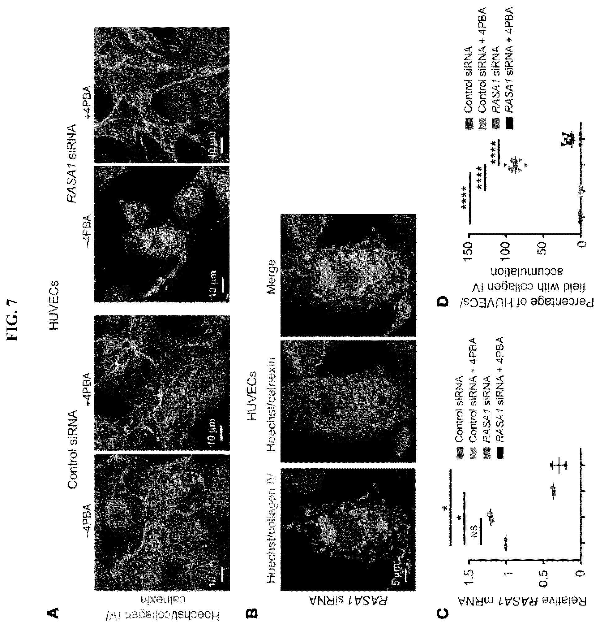 Patent US12472189 Figure 7 – Treatment and prevention of capillary malformation-arteriovenous malformation