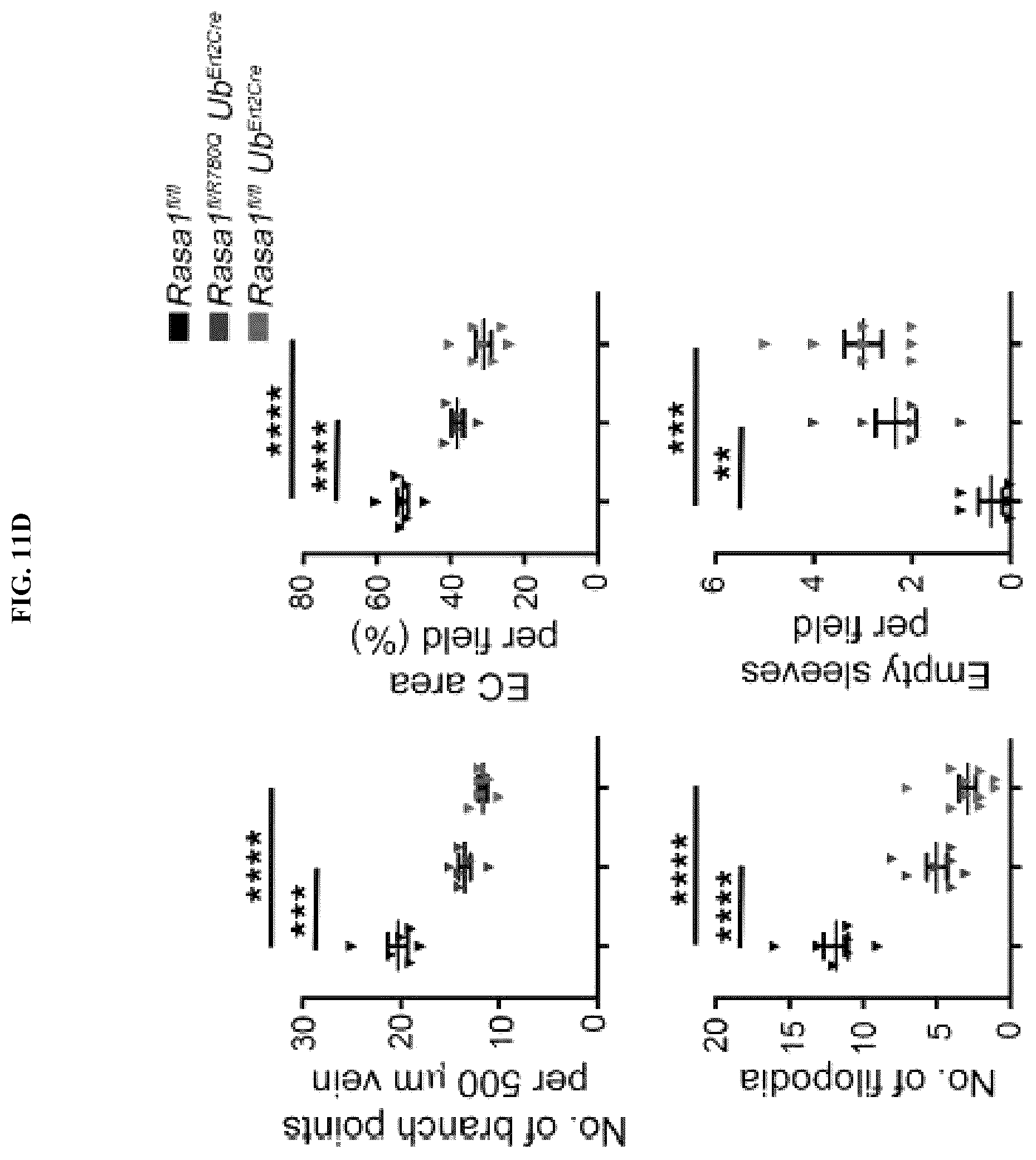 Patent US12472189 Figure 13 – Treatment and prevention of capillary malformation-arteriovenous malformation