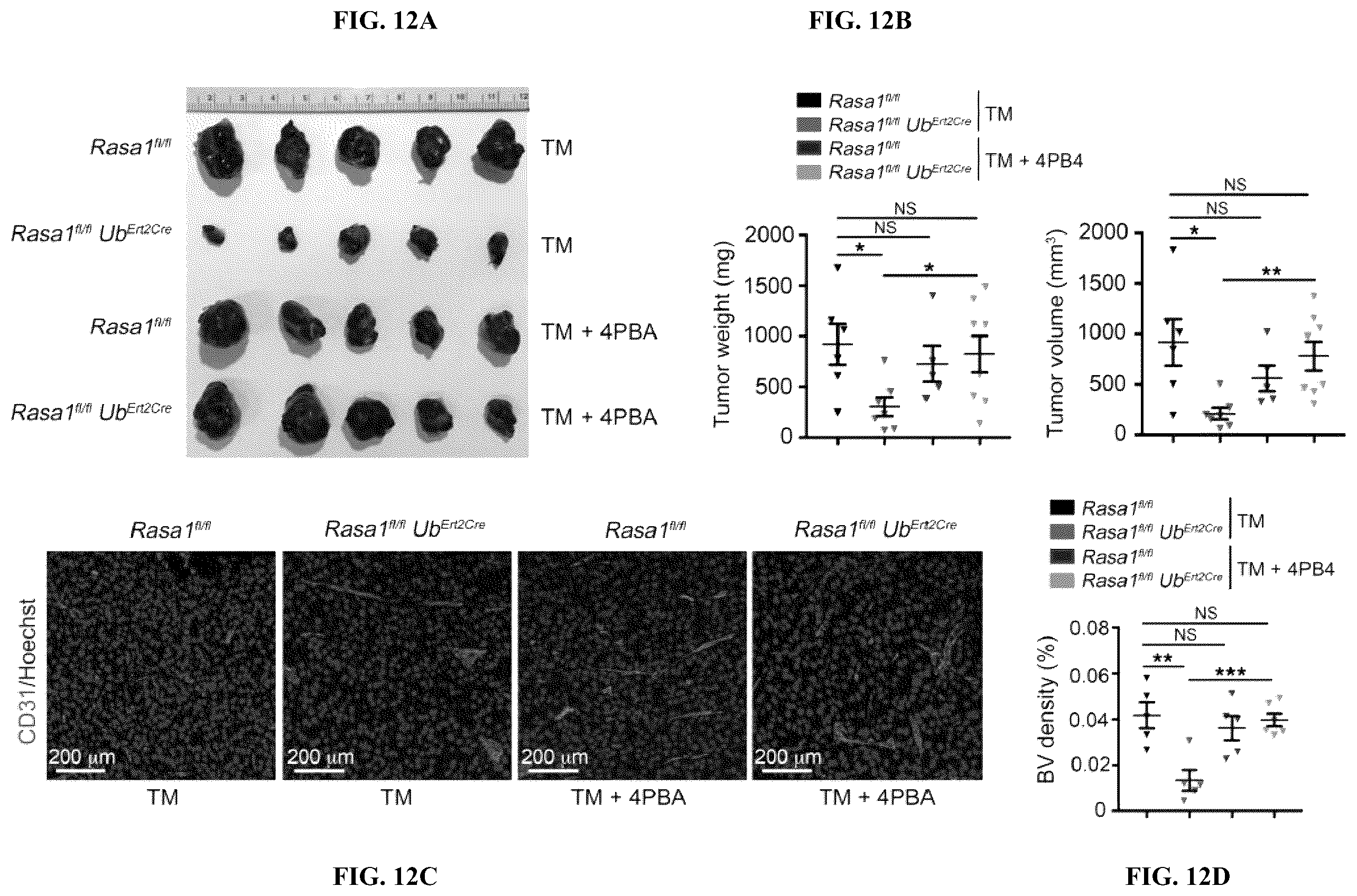 Patent US12472189 Figure 14 – Treatment and prevention of capillary malformation-arteriovenous malformation