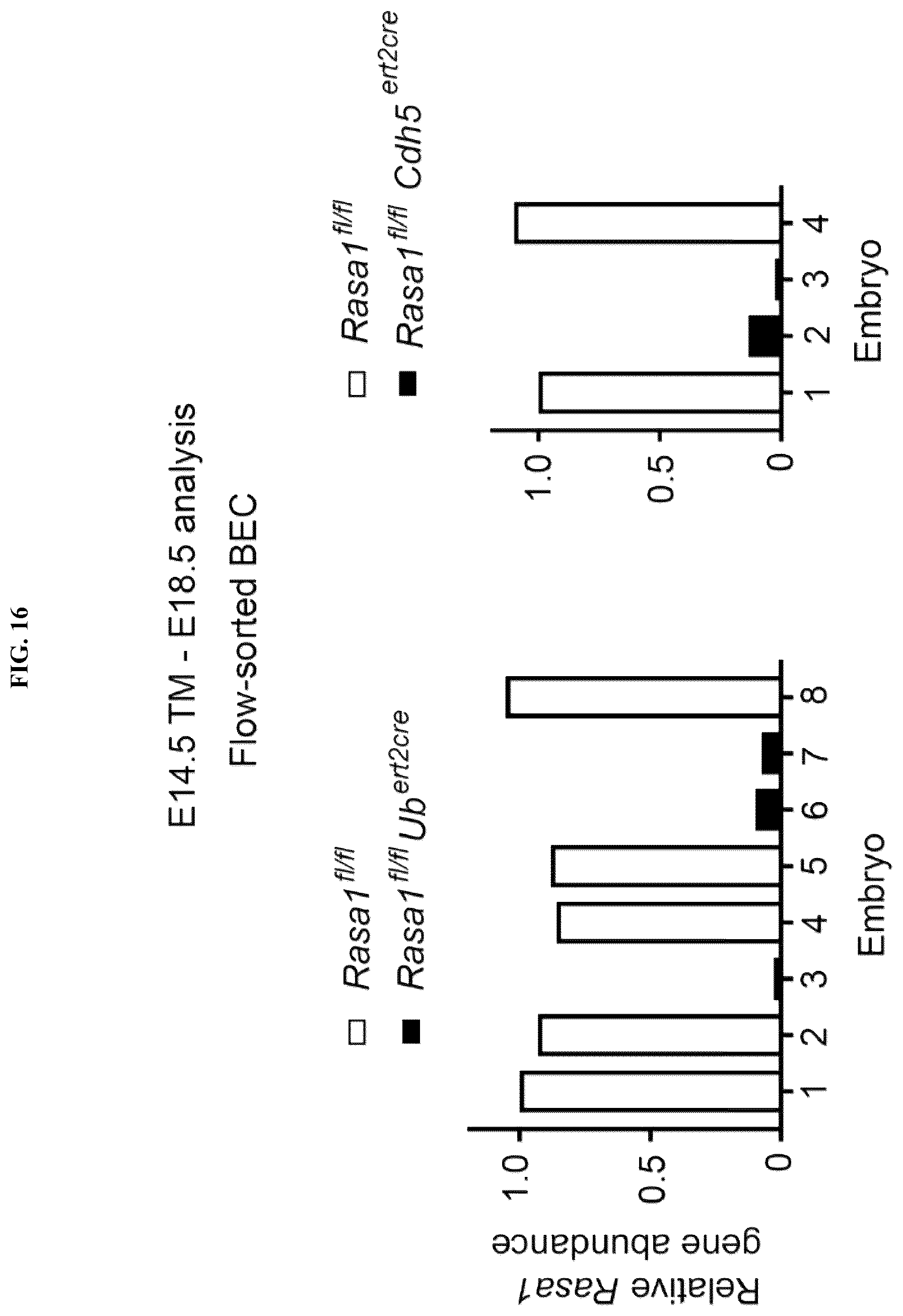 Patent US12472189 Figure 19 – Treatment and prevention of capillary malformation-arteriovenous malformation