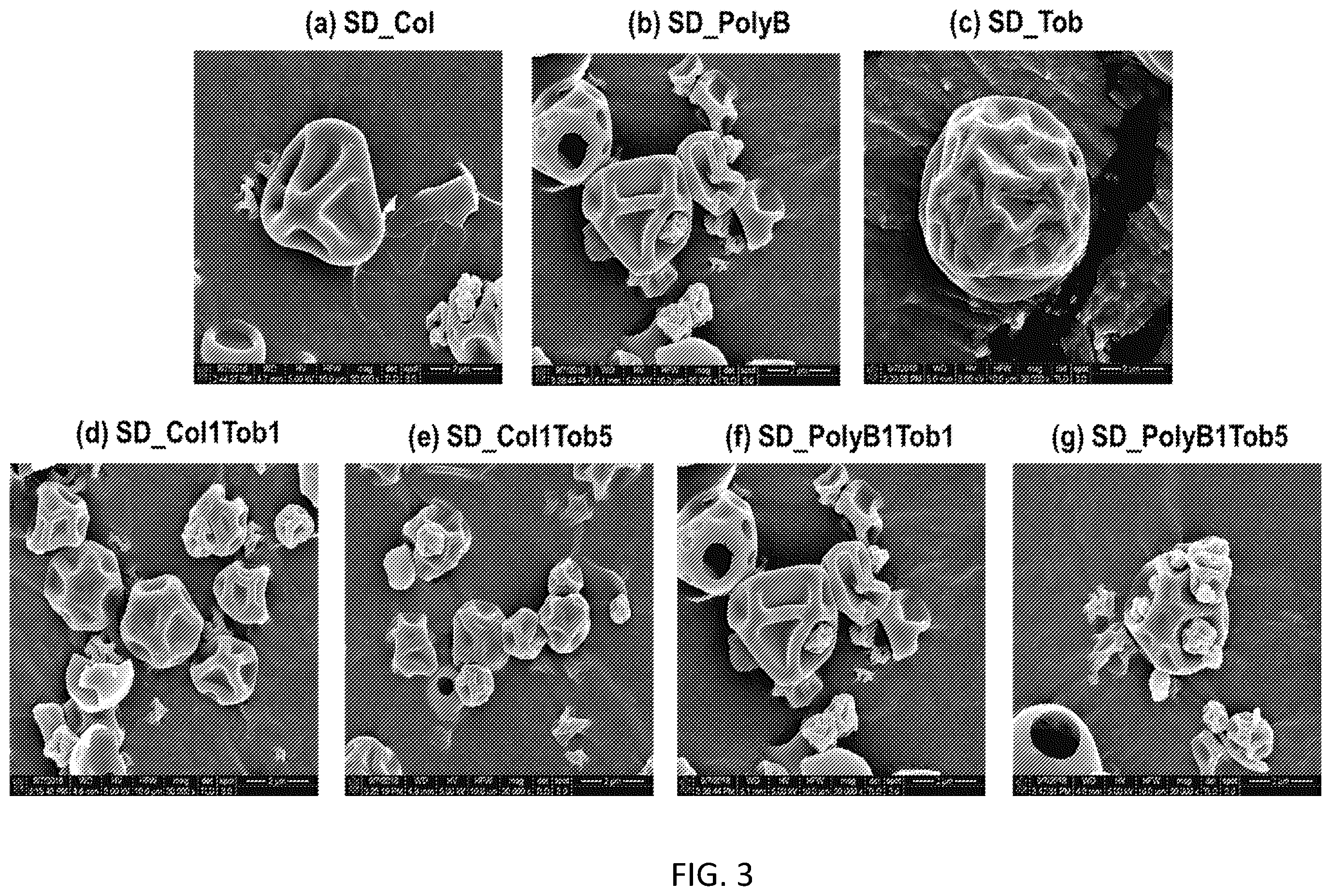 Patent US12472195 Figure 3 – Inhalation formulations of antimicrobial compounds