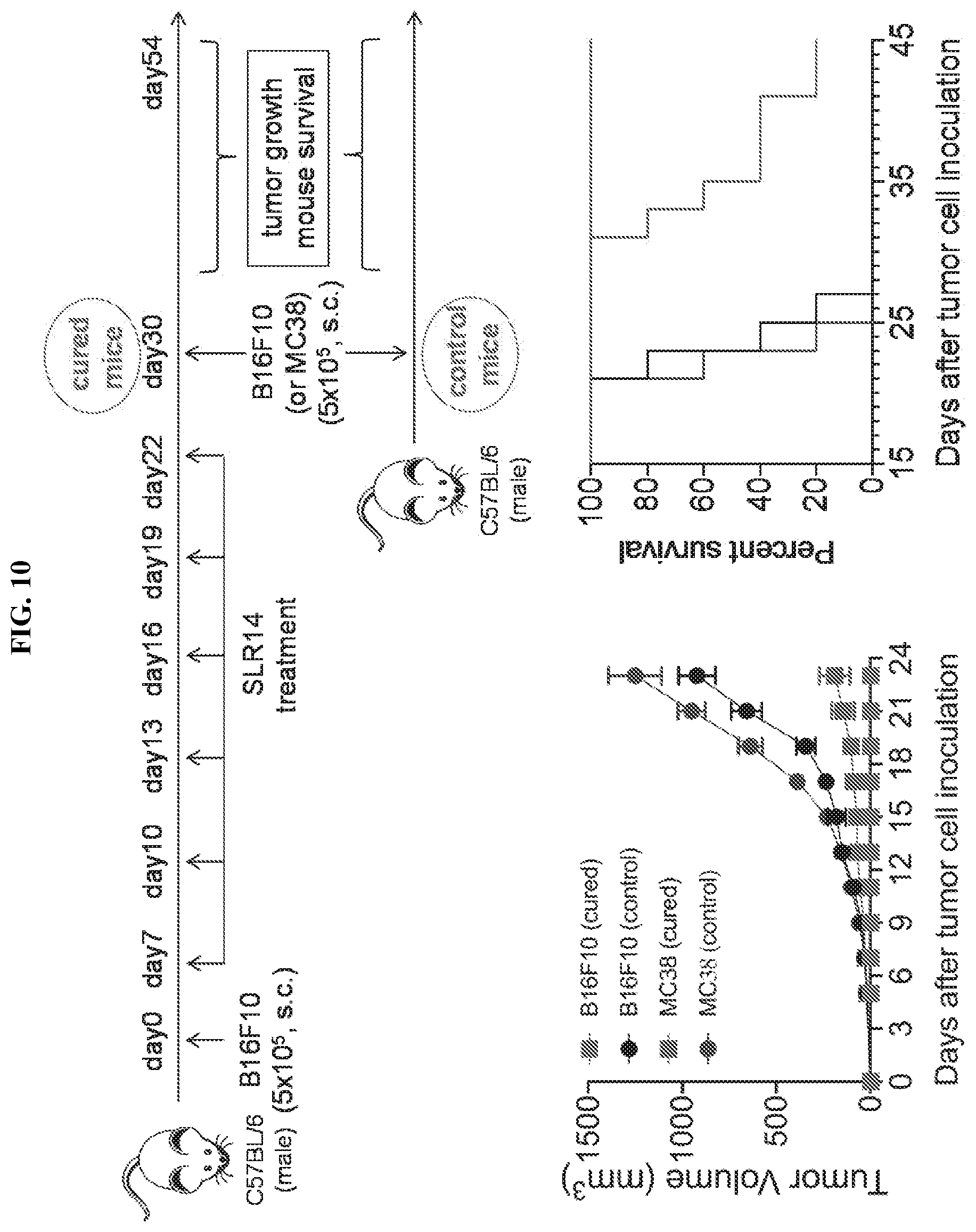 Patent US12472198 Figure 8 – RIG-I agonists and treatments using same