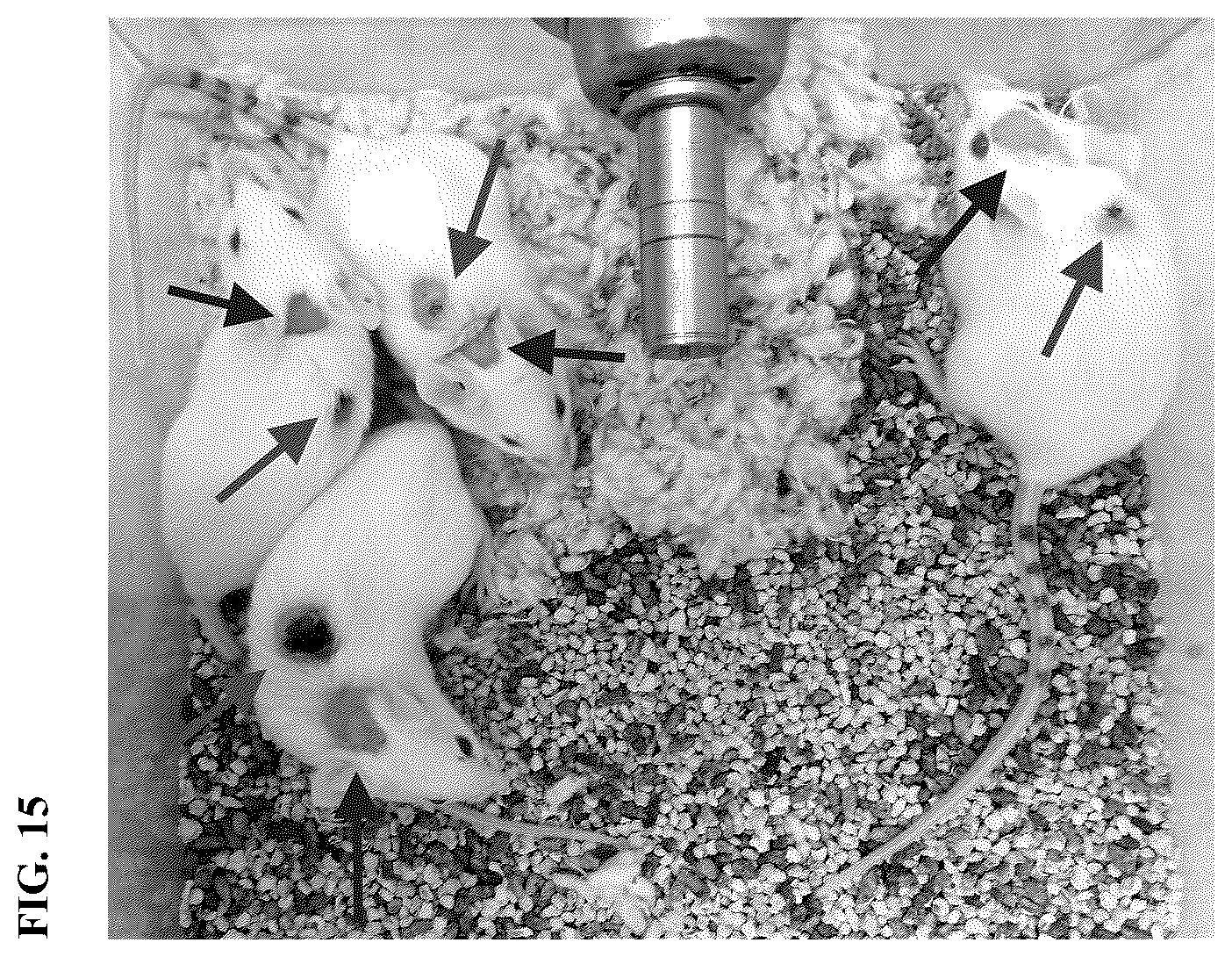 Patent US12472205 Figure 14 – Vaccine adjuvants and formulations