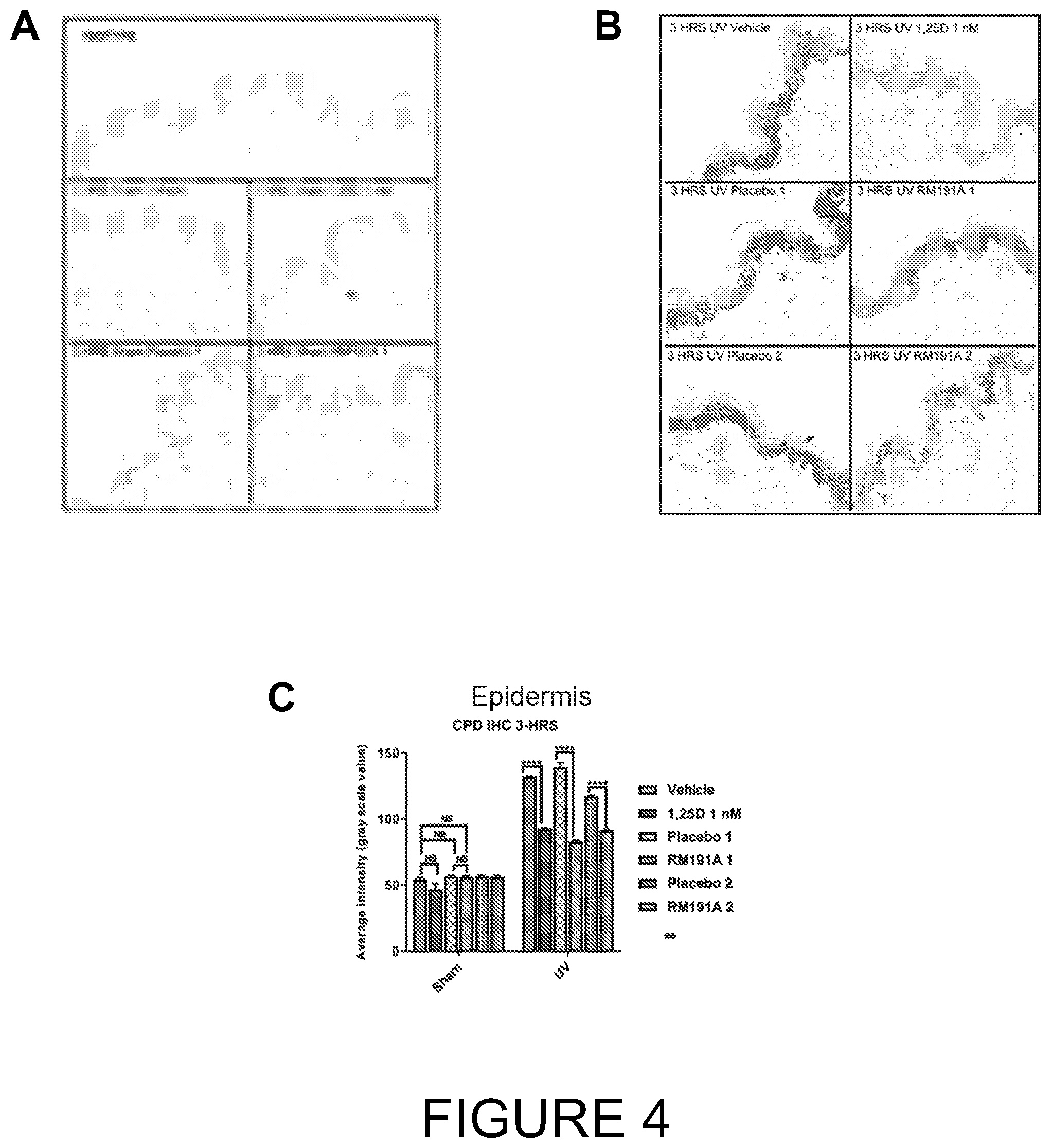 Patent US12472207 Figure 4 – Anti-inflammatory compositions and methods