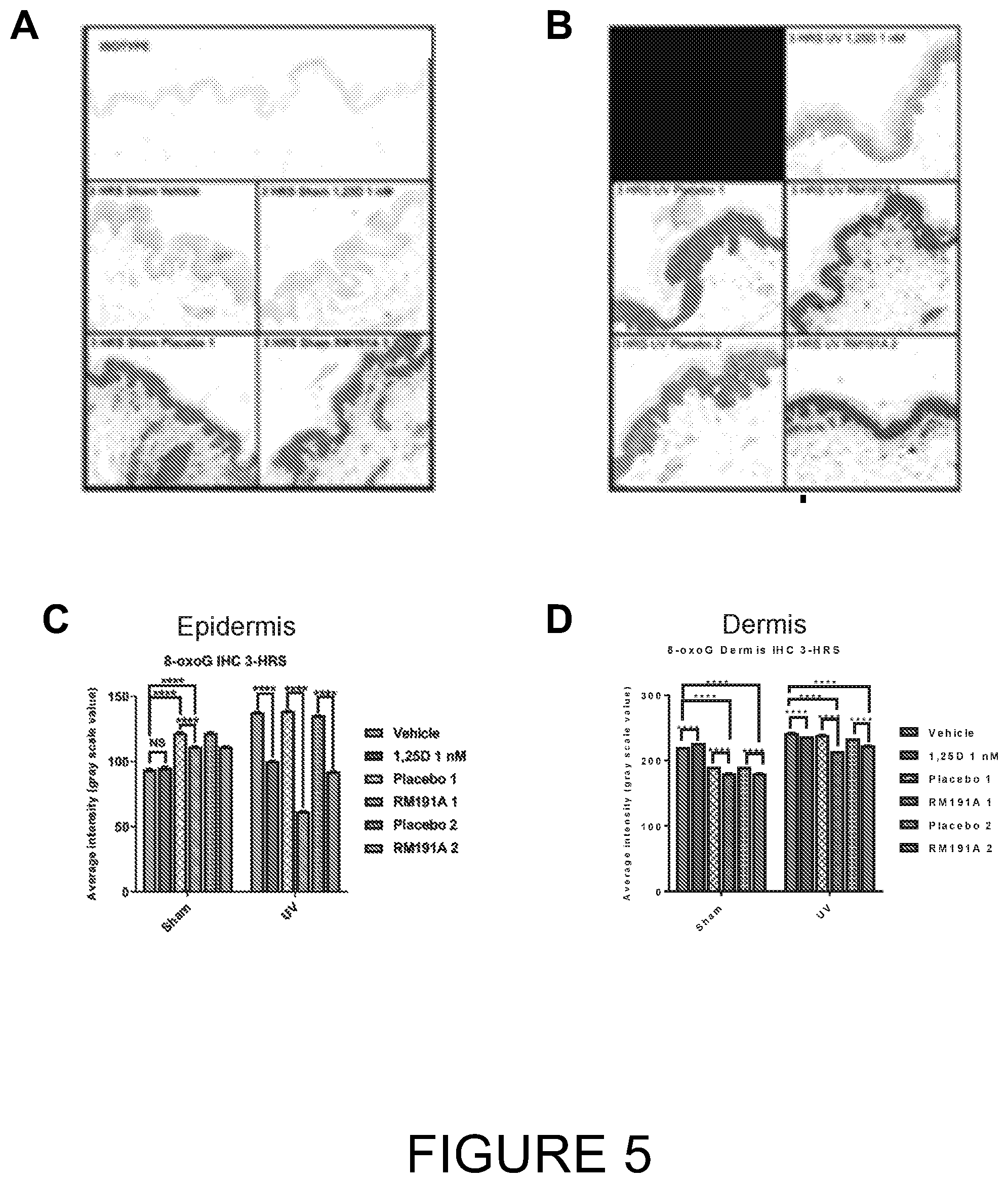 Patent US12472207 Figure 5 – Anti-inflammatory compositions and methods