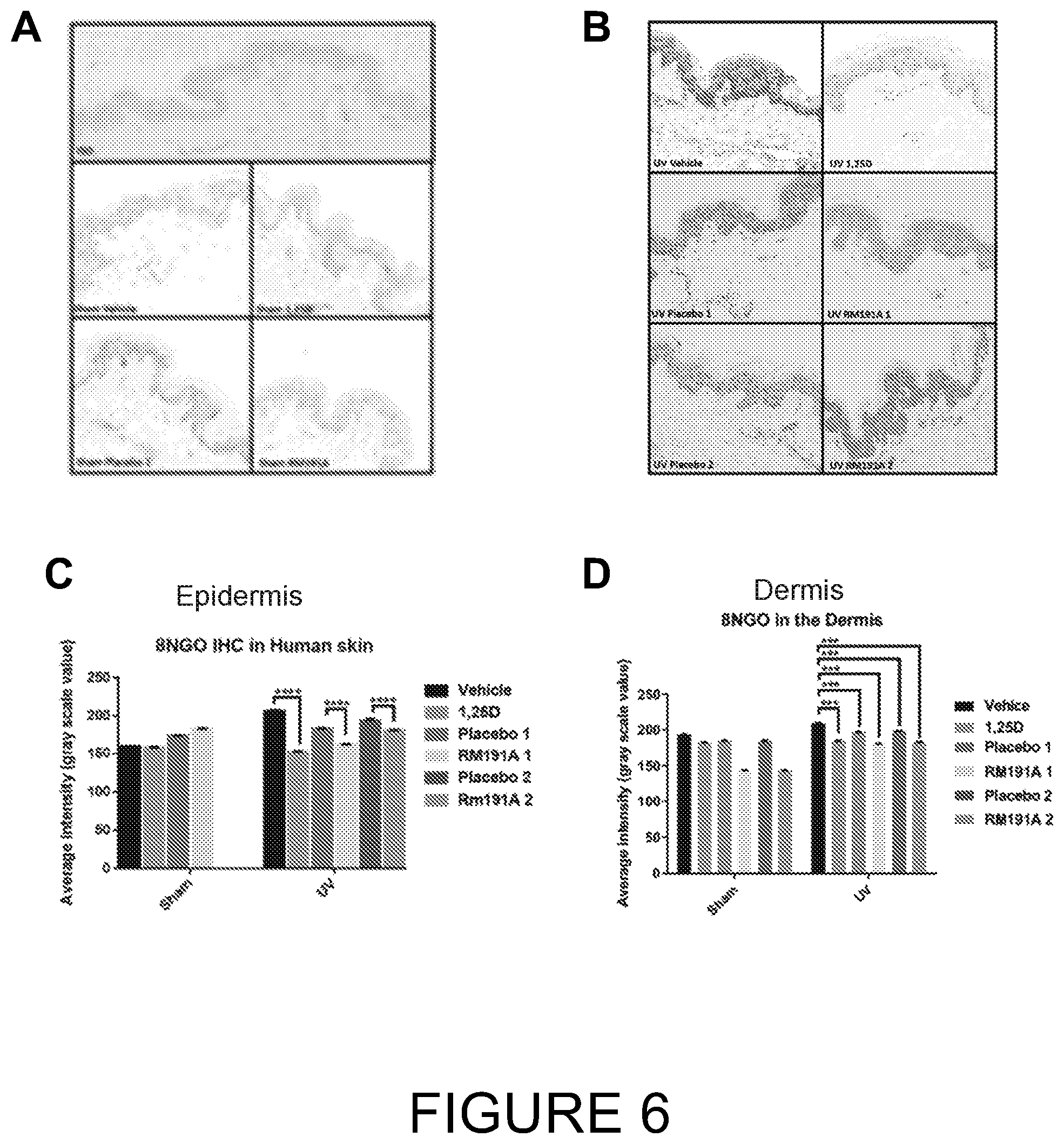 Patent US12472207 Figure 6 – Anti-inflammatory compositions and methods