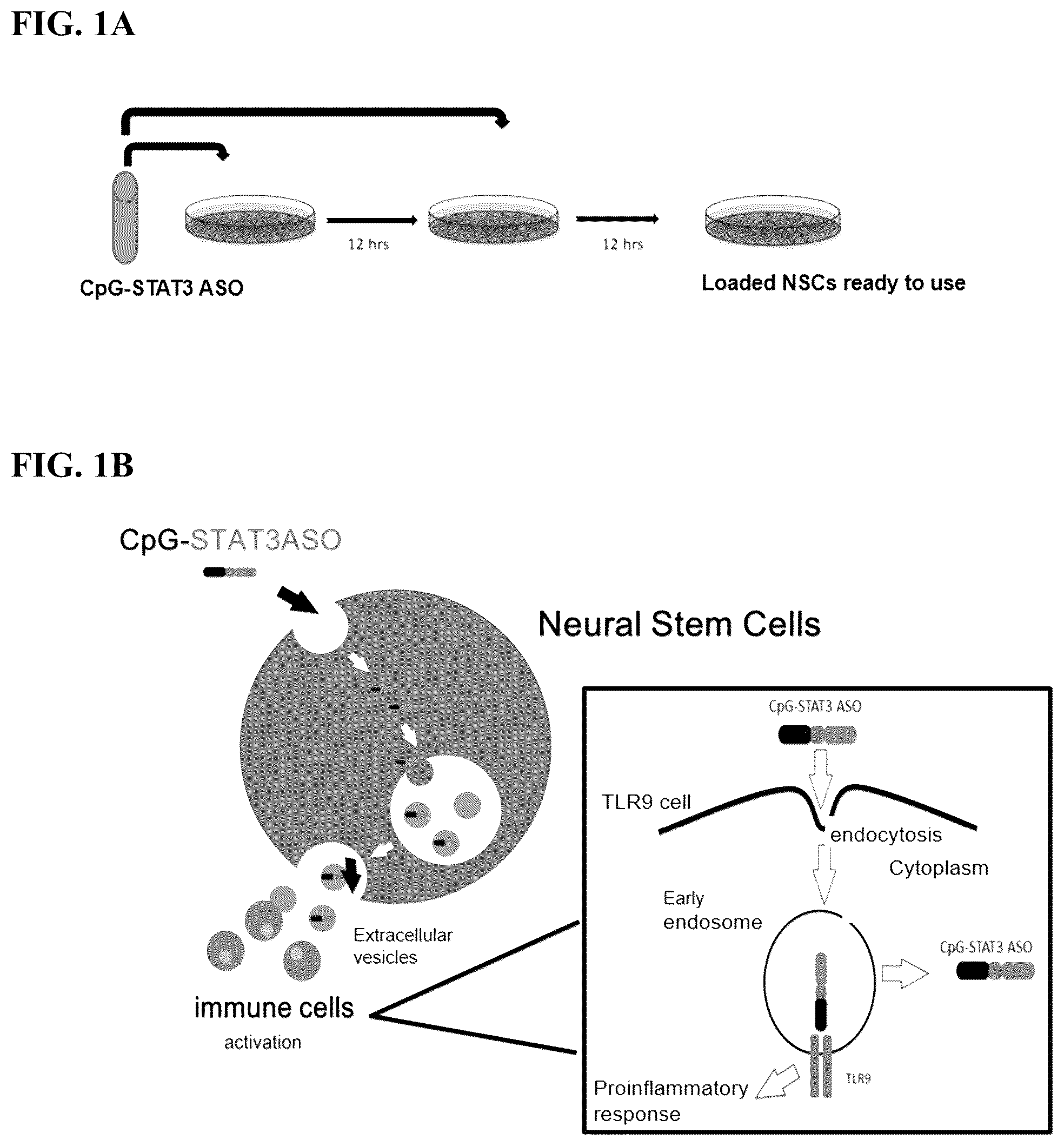 Patent US12472209 Figure 1 – Neural stem cell delivery of therapeutic agents