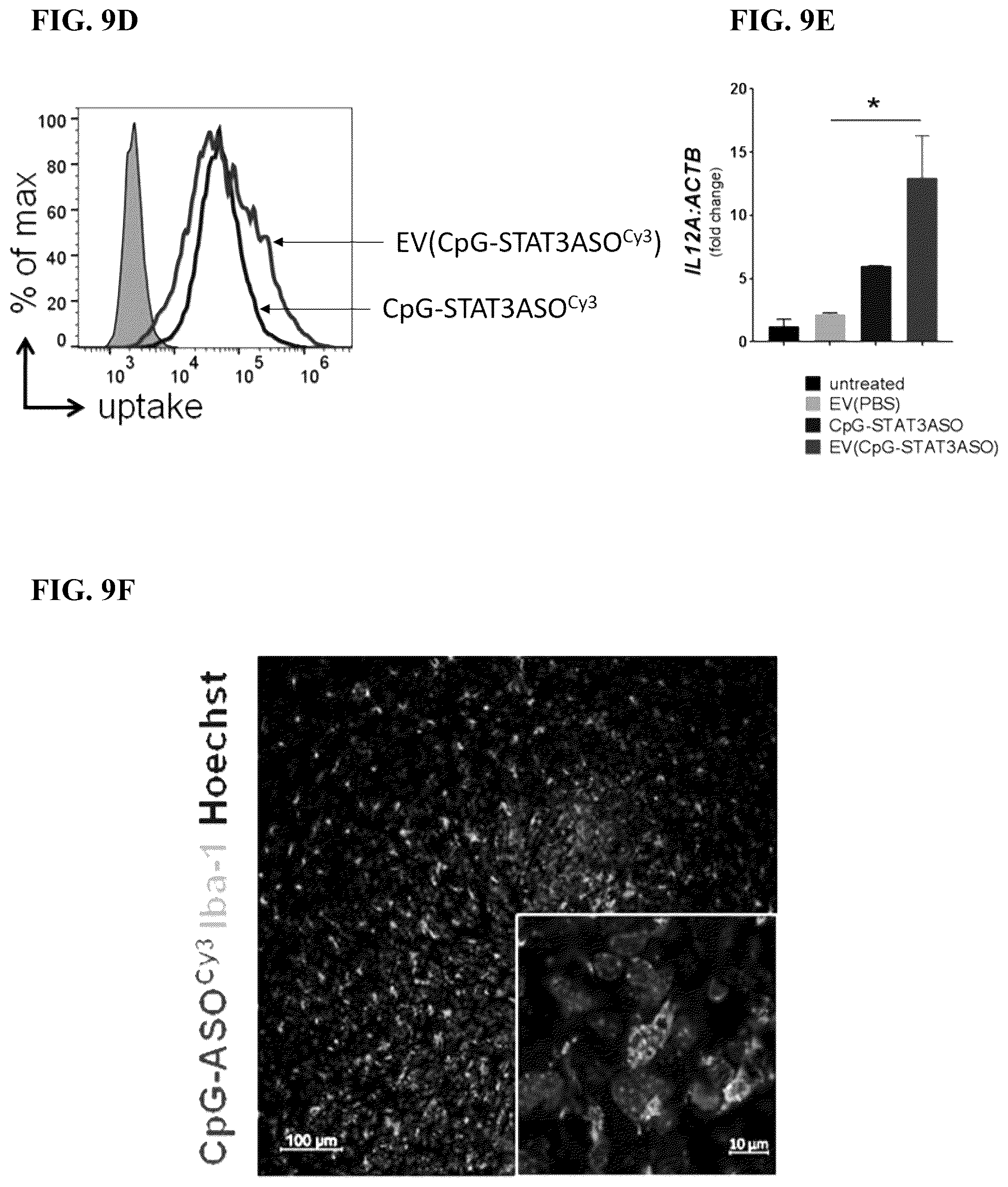 Patent US12472209 Figure 12 – Neural stem cell delivery of therapeutic agents