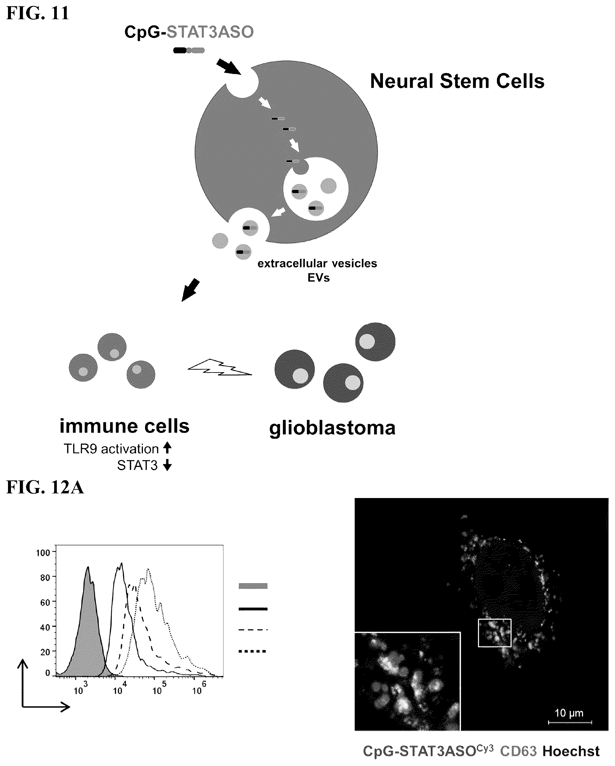 Patent US12472209 Figure 15 – Neural stem cell delivery of therapeutic agents