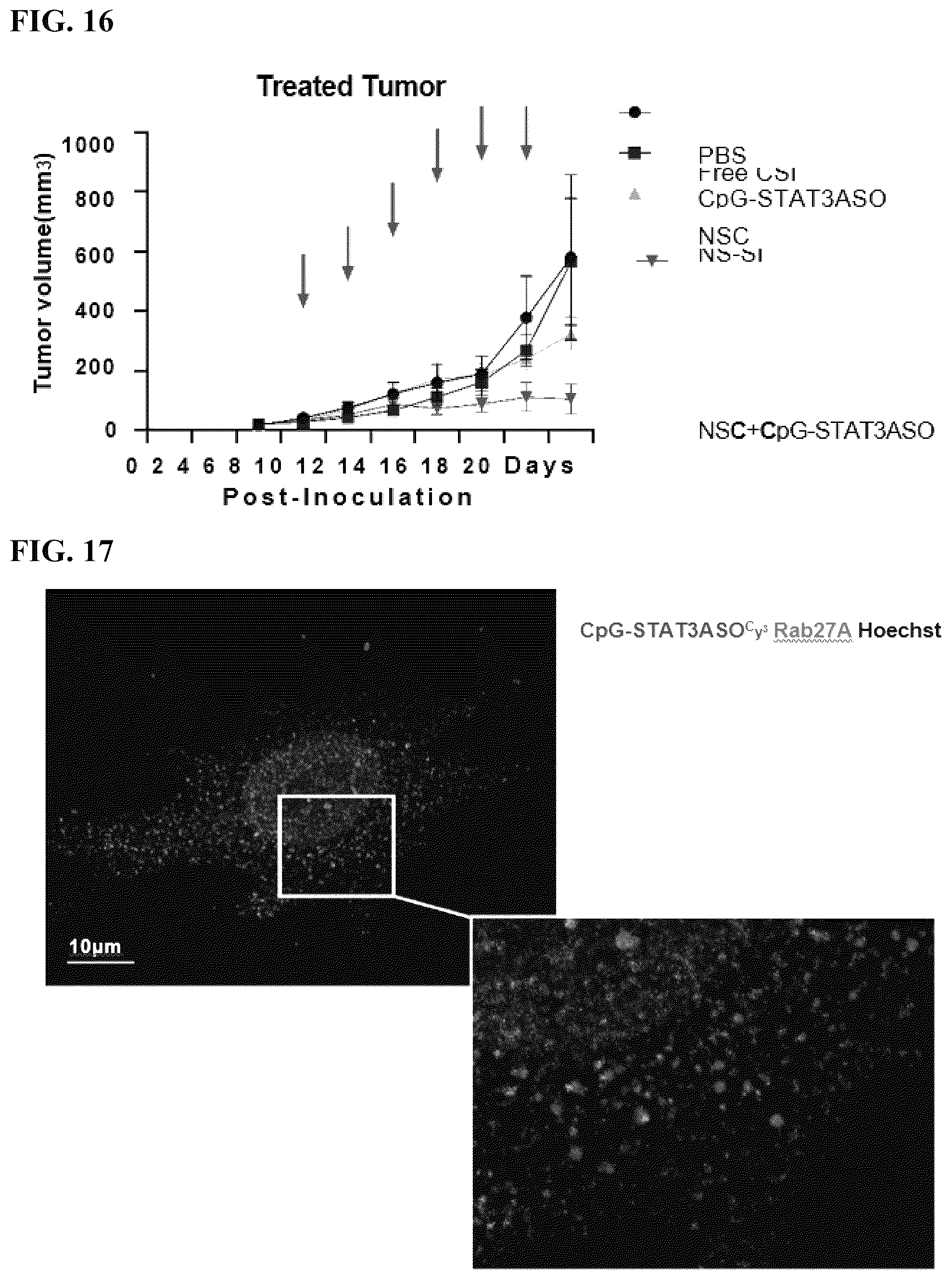 Patent US12472209 Figure 20 – Neural stem cell delivery of therapeutic agents
