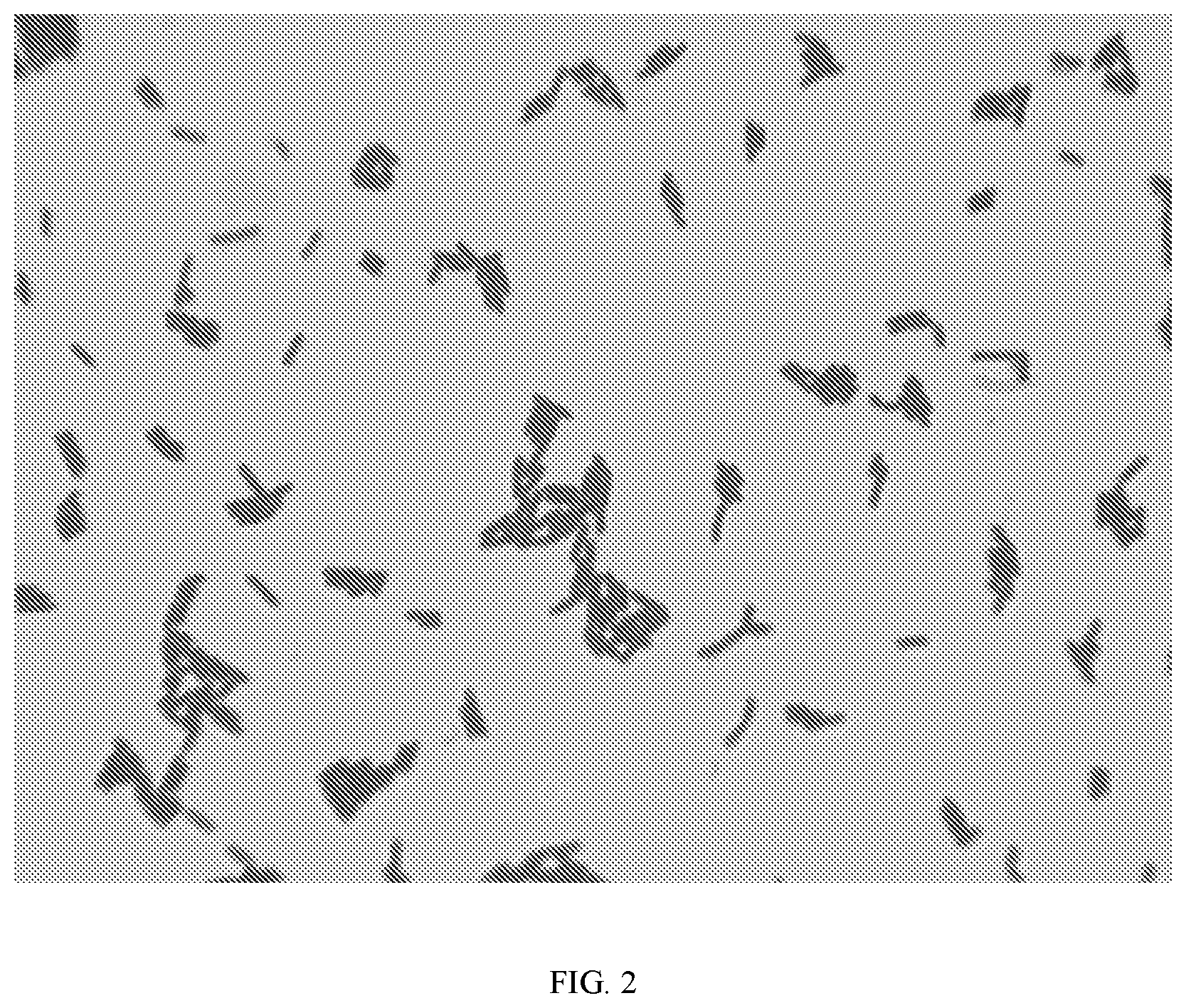 Patent US12472212 Figure 2 – Lactiplantibacillus plantarum GOLDGUT-LP618 having function of resisting salmonella infection and application thereof