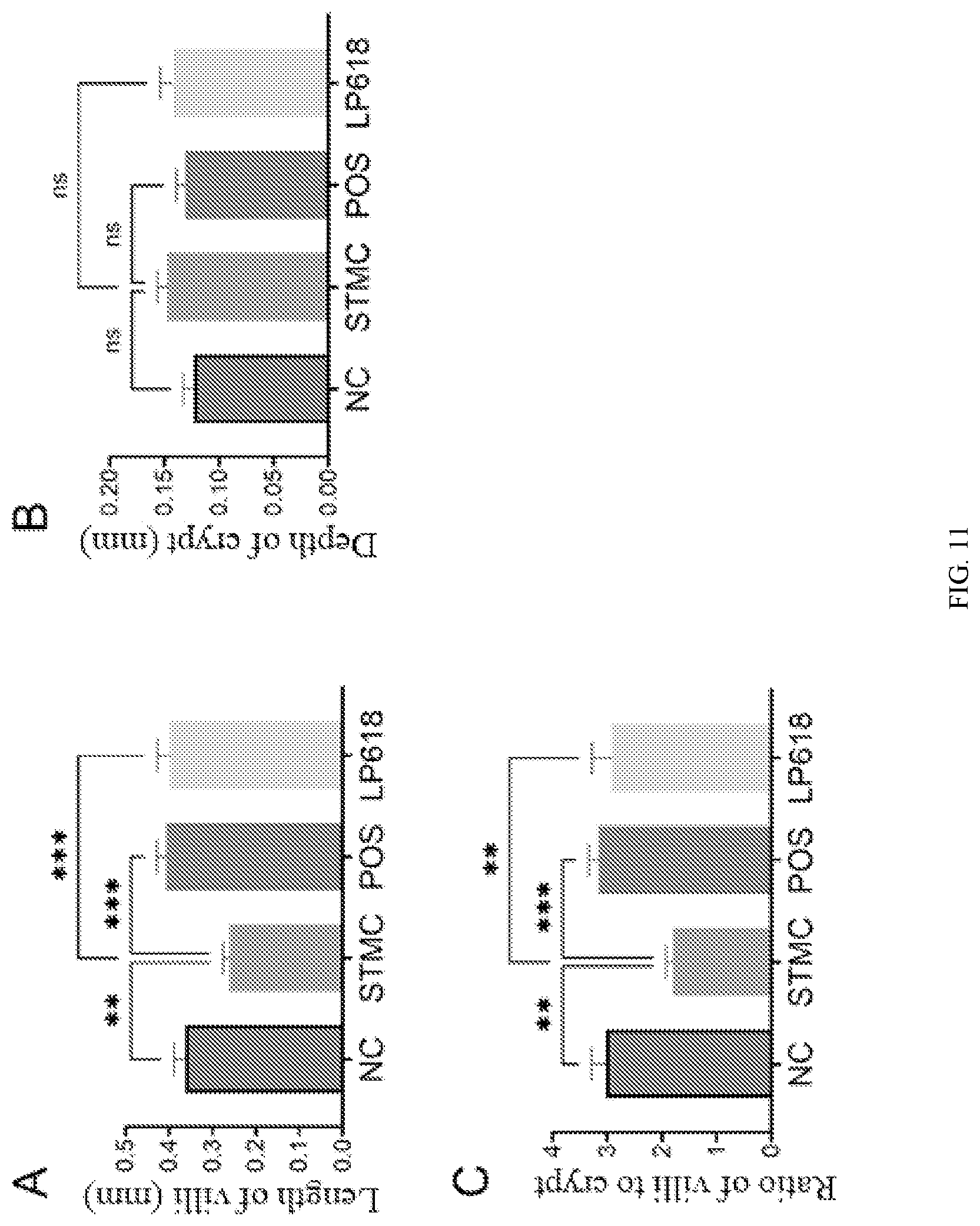 Patent US12472212 Figure 11 – Lactiplantibacillus plantarum GOLDGUT-LP618 having function of resisting salmonella infection and application thereof