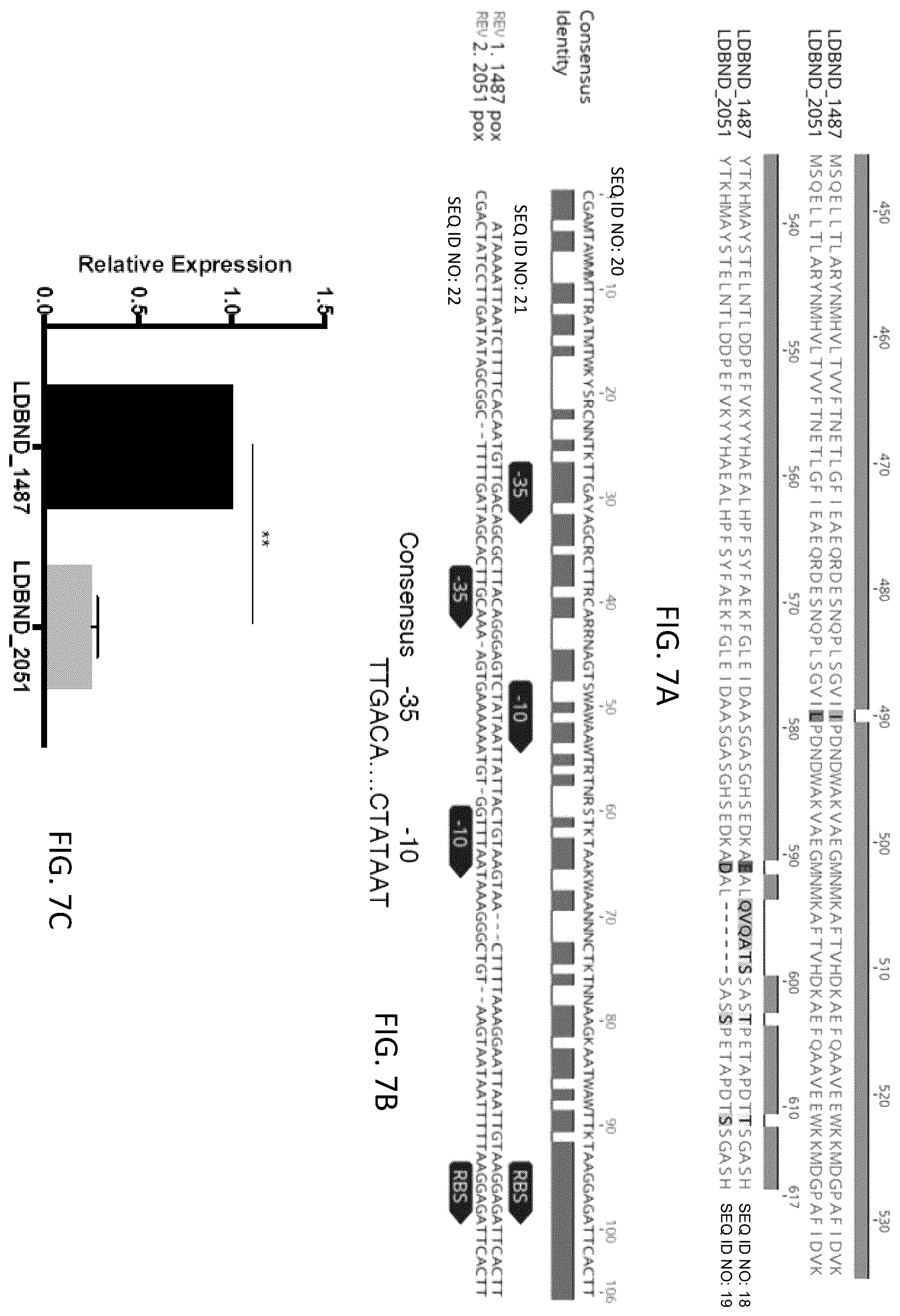Patent US12472213 Figure 8 – Strains of Lactobacillus delbrueckii which inhibit Porphyromonas gingivalis