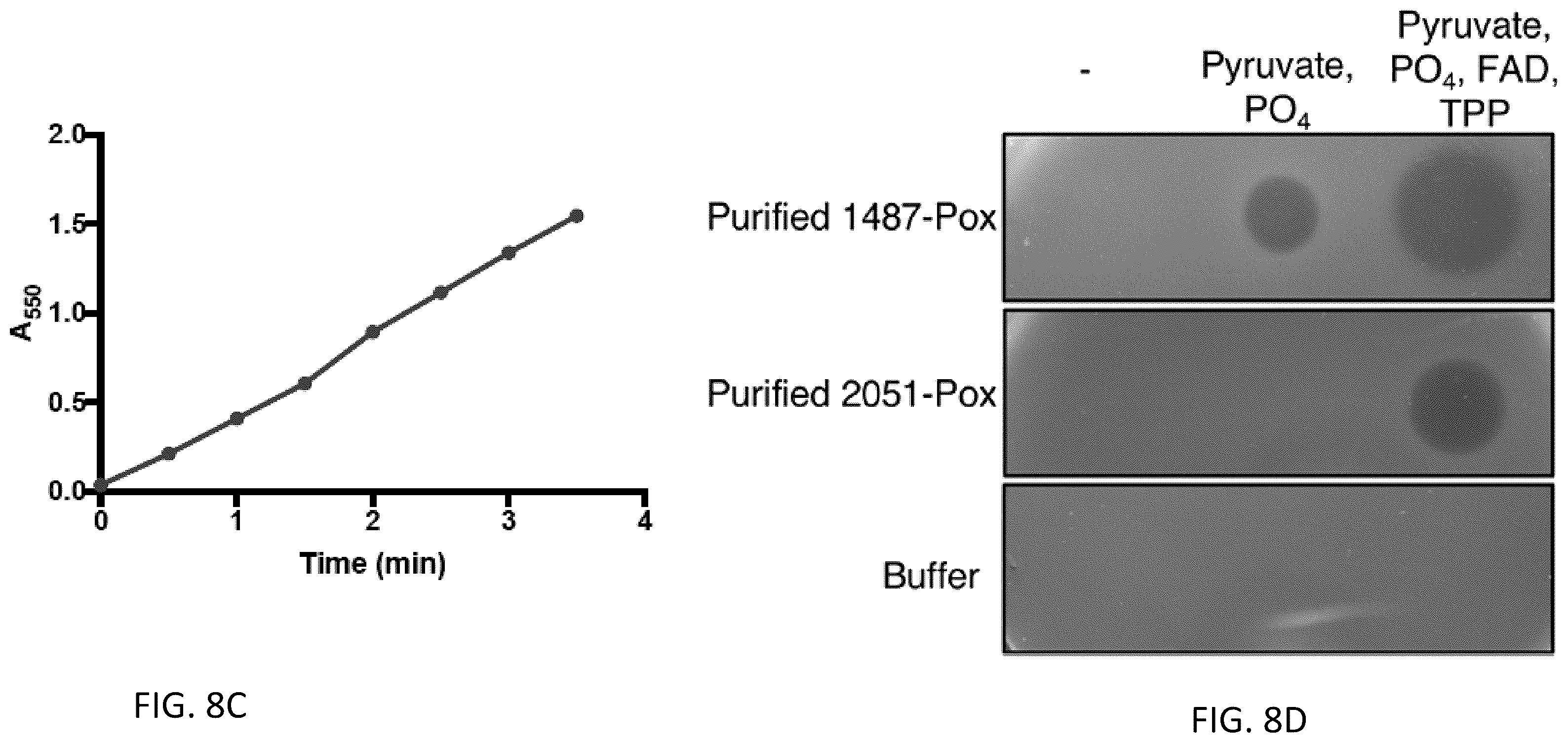 Patent US12472213 Figure 10 – Strains of Lactobacillus delbrueckii which inhibit Porphyromonas gingivalis