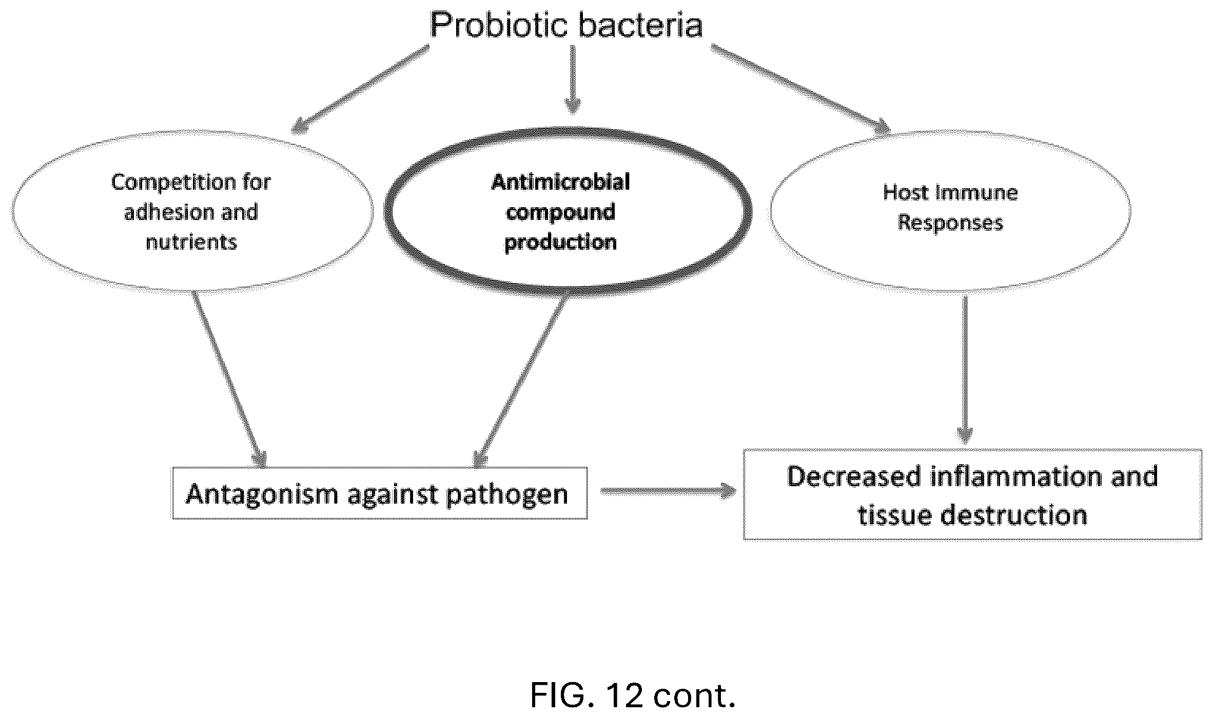 Patent US12472213 Figure 17 – Strains of Lactobacillus delbrueckii which inhibit Porphyromonas gingivalis
