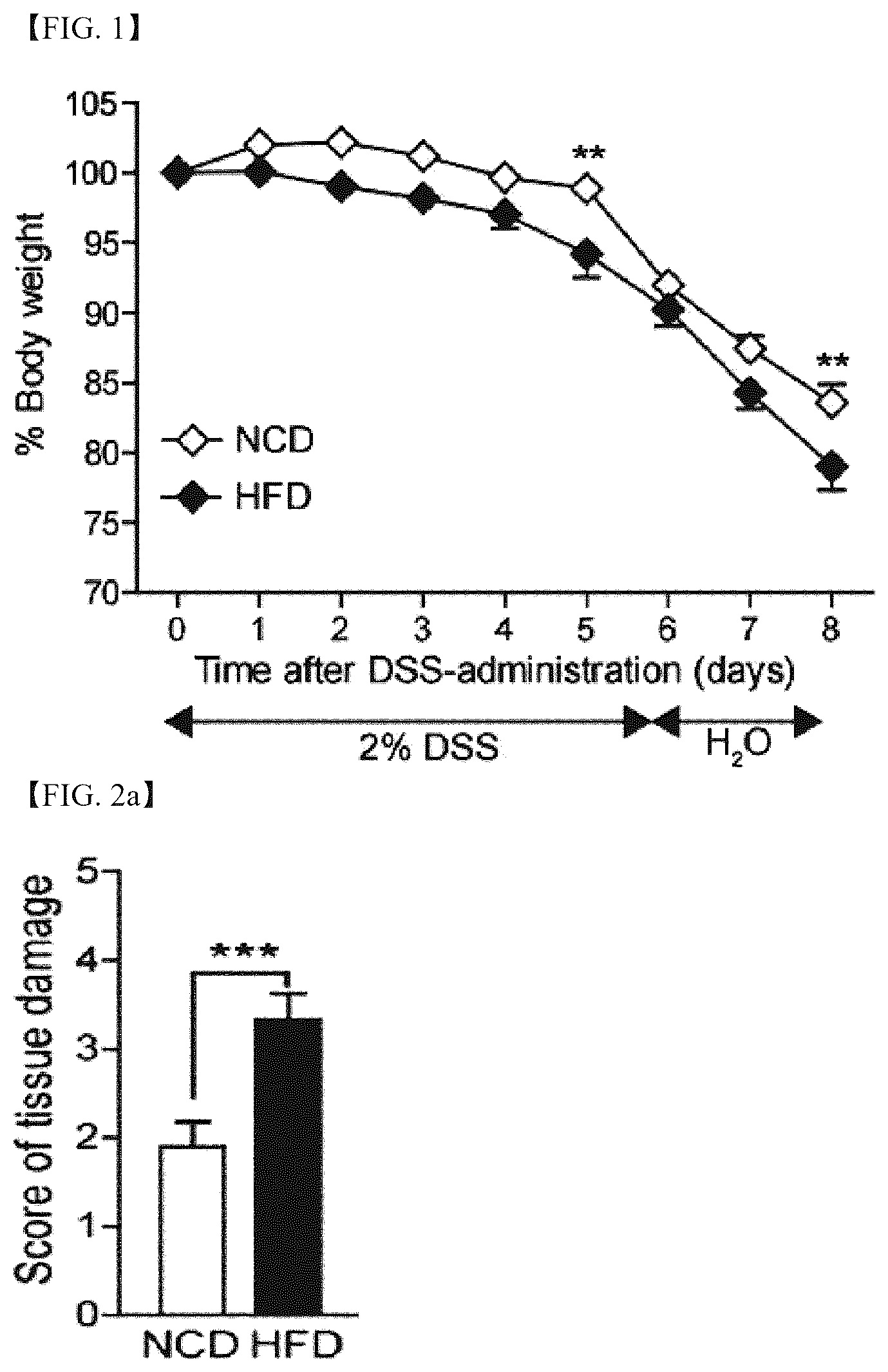 Patent US12472215 — Lactobacillus helveticus strain and composition containing same for prevention or treatment of inflammatory diseases — Figure 1