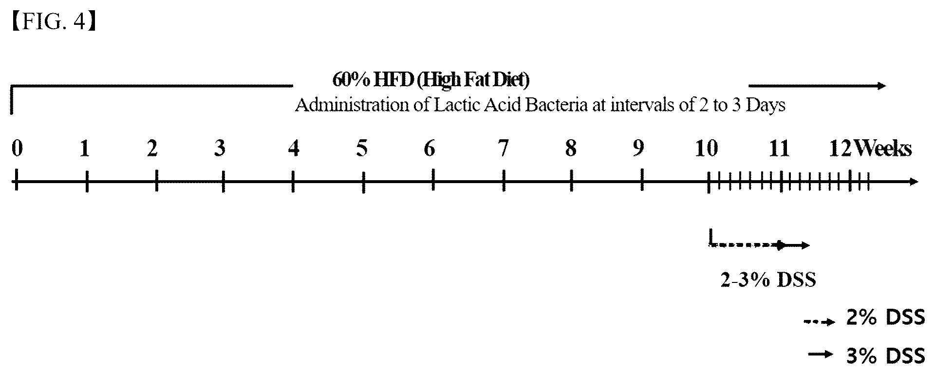 Patent US12472215 Figure 3 – Lactobacillus helveticus strain and composition containing same for prevention or treatment of inflammatory diseases