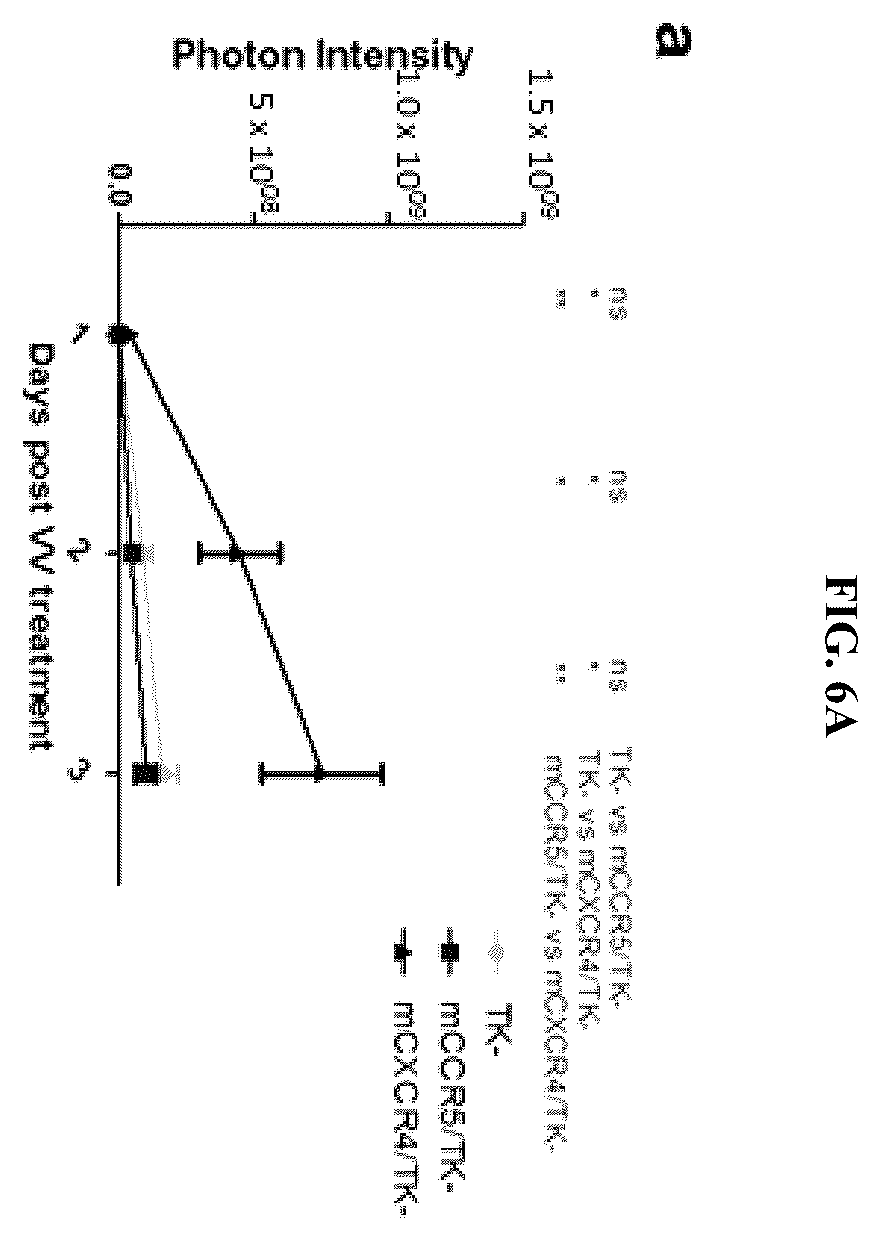 Patent US12472217 Figure 7 – Platform oncolytic vector for systemic delivery