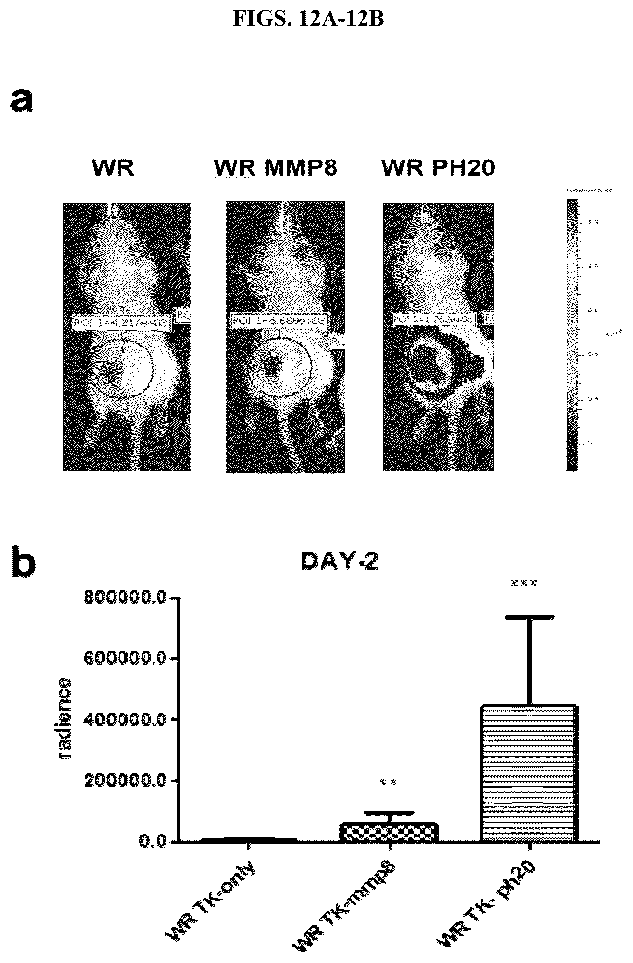 Patent US12472217 Figure 17 – Platform oncolytic vector for systemic delivery