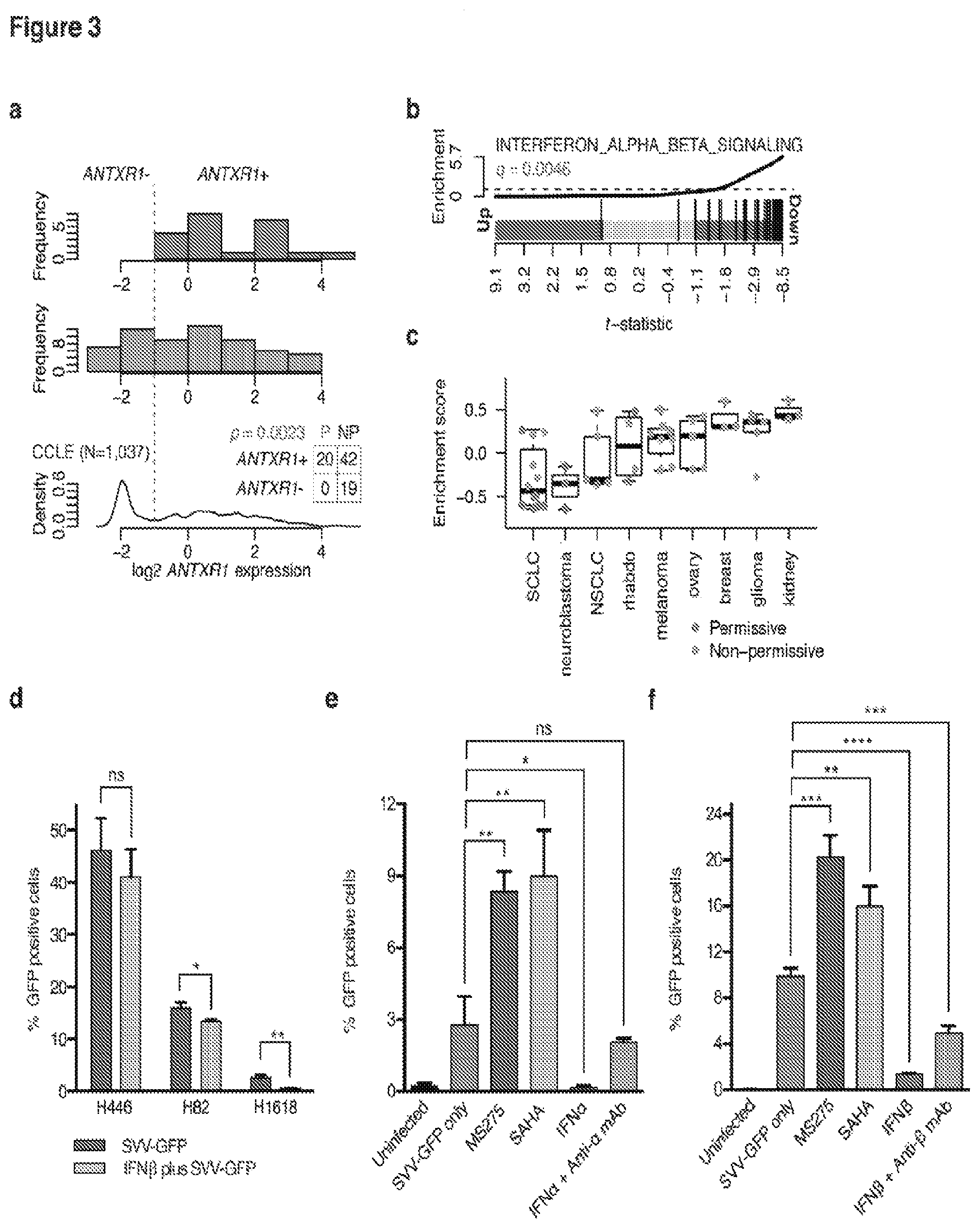 Patent US12472218 Figure 3 – Seneca valley virus (SVV) cellular receptor targeted oncotherapy