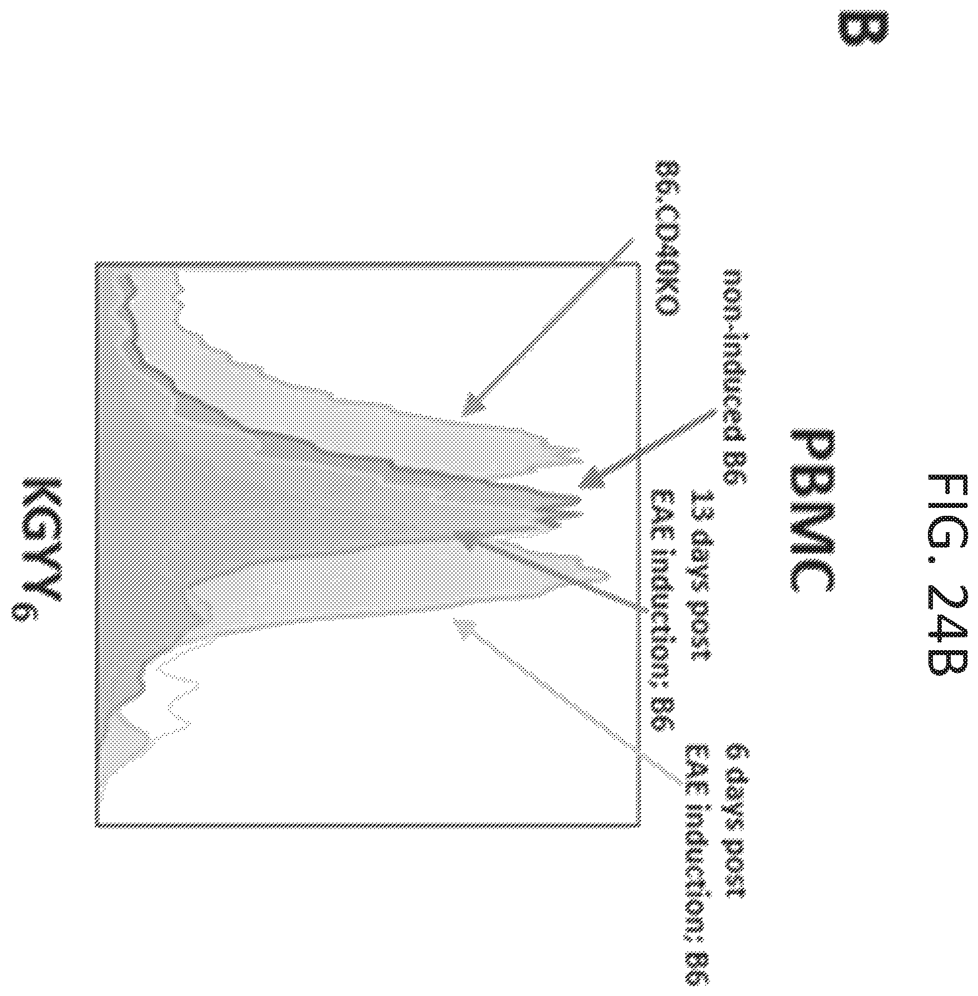 Patent US12472223 Figure 20 – Methods for reducing symptoms of multiple sclerosis using a six-amino acid long peptide that inhibits CD40-CD154 interaction