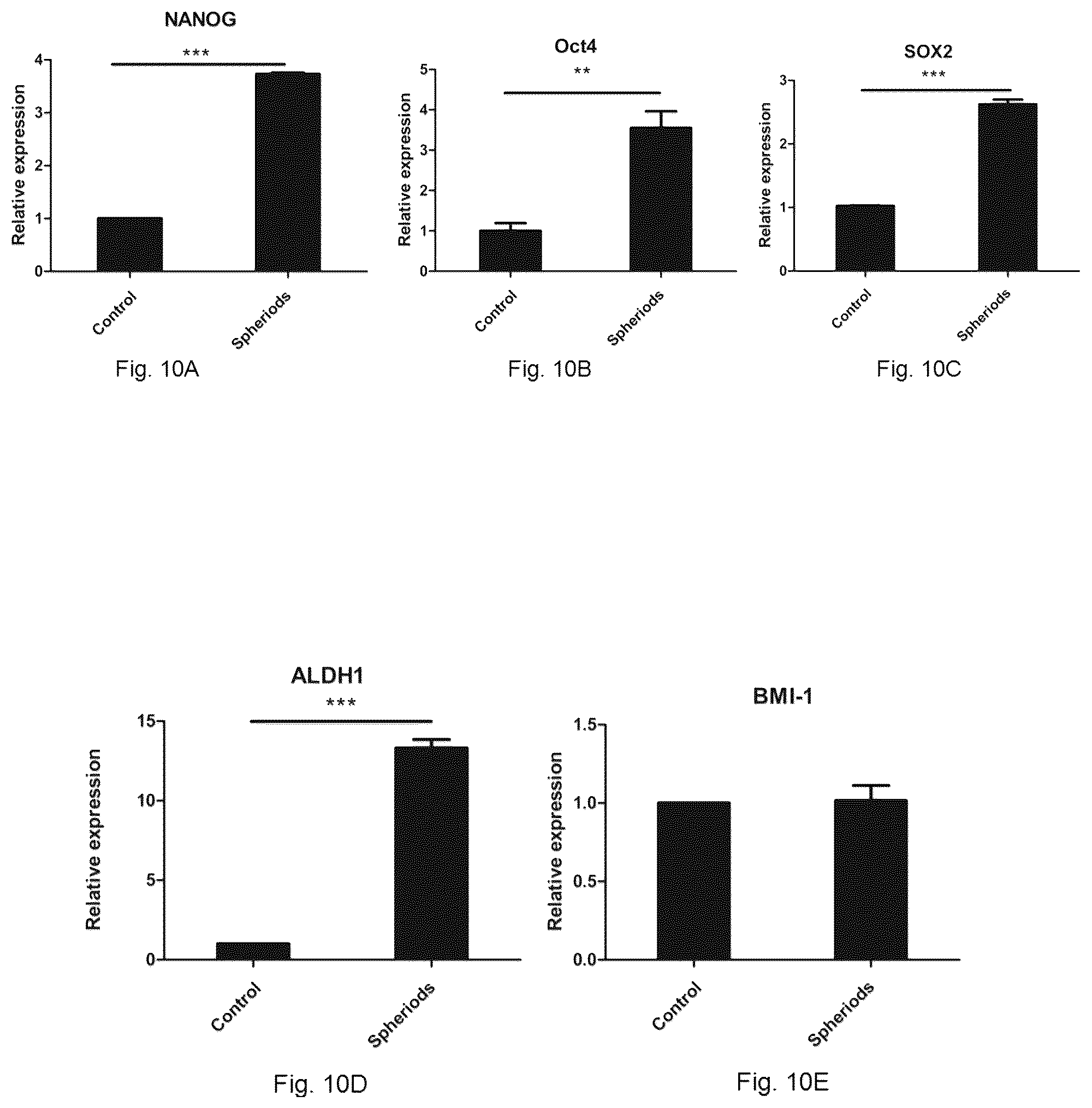 Patent US12472227 Figure 10 – Pharmaceutical compositions and use thereof for relieving resistance due to cancer chemotherapy and enhancing effect of cancer chemotherapy