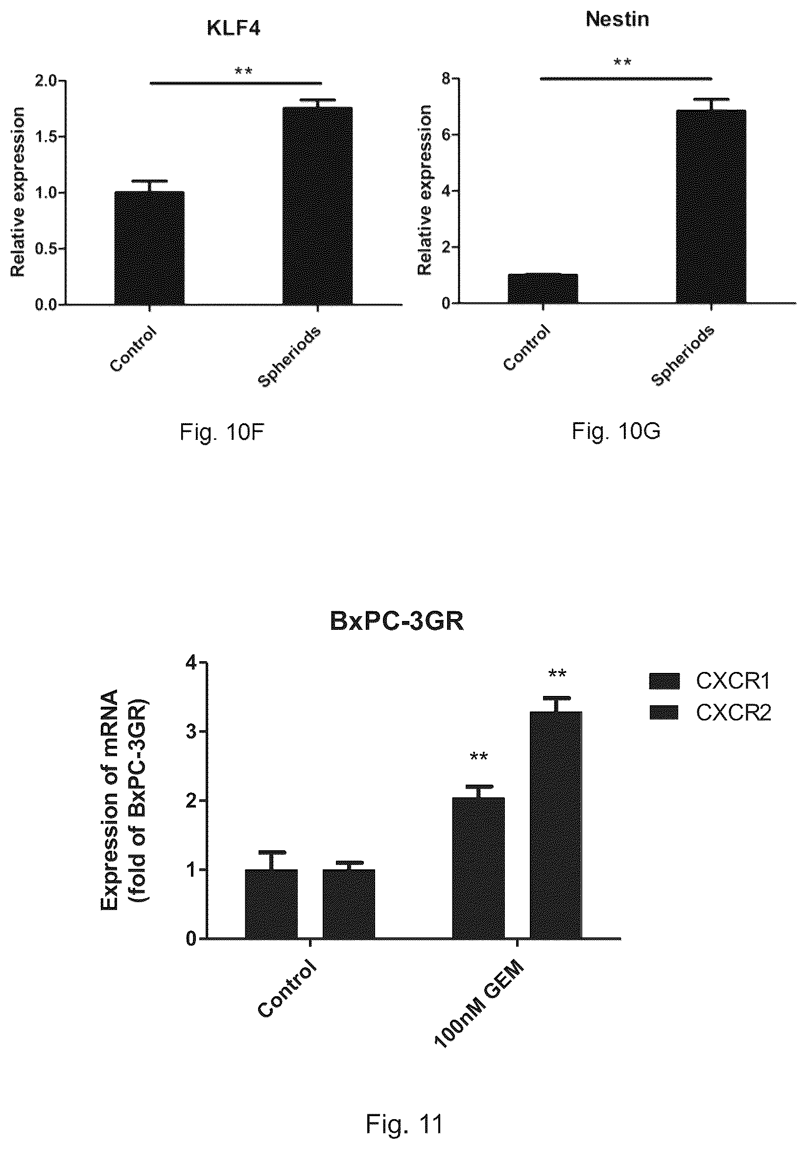 Patent US12472227 Figure 11 – Pharmaceutical compositions and use thereof for relieving resistance due to cancer chemotherapy and enhancing effect of cancer chemotherapy