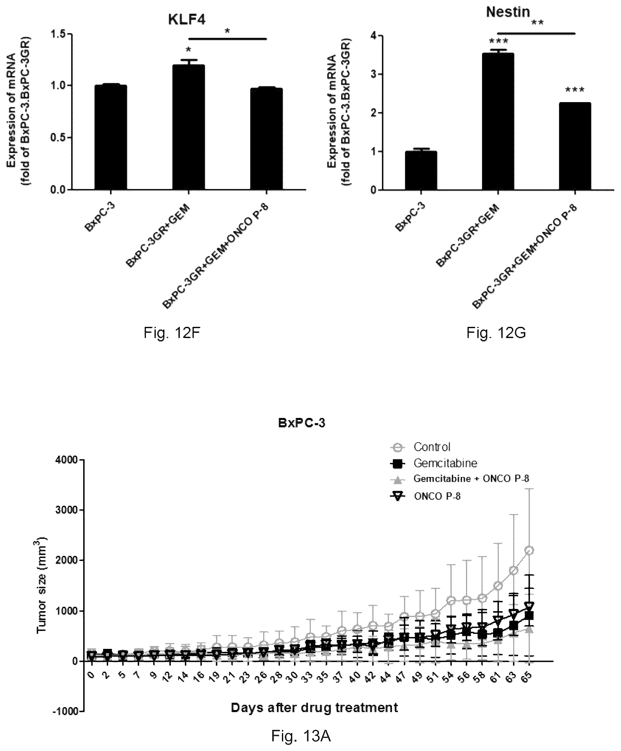 Patent US12472227 Figure 13 – Pharmaceutical compositions and use thereof for relieving resistance due to cancer chemotherapy and enhancing effect of cancer chemotherapy