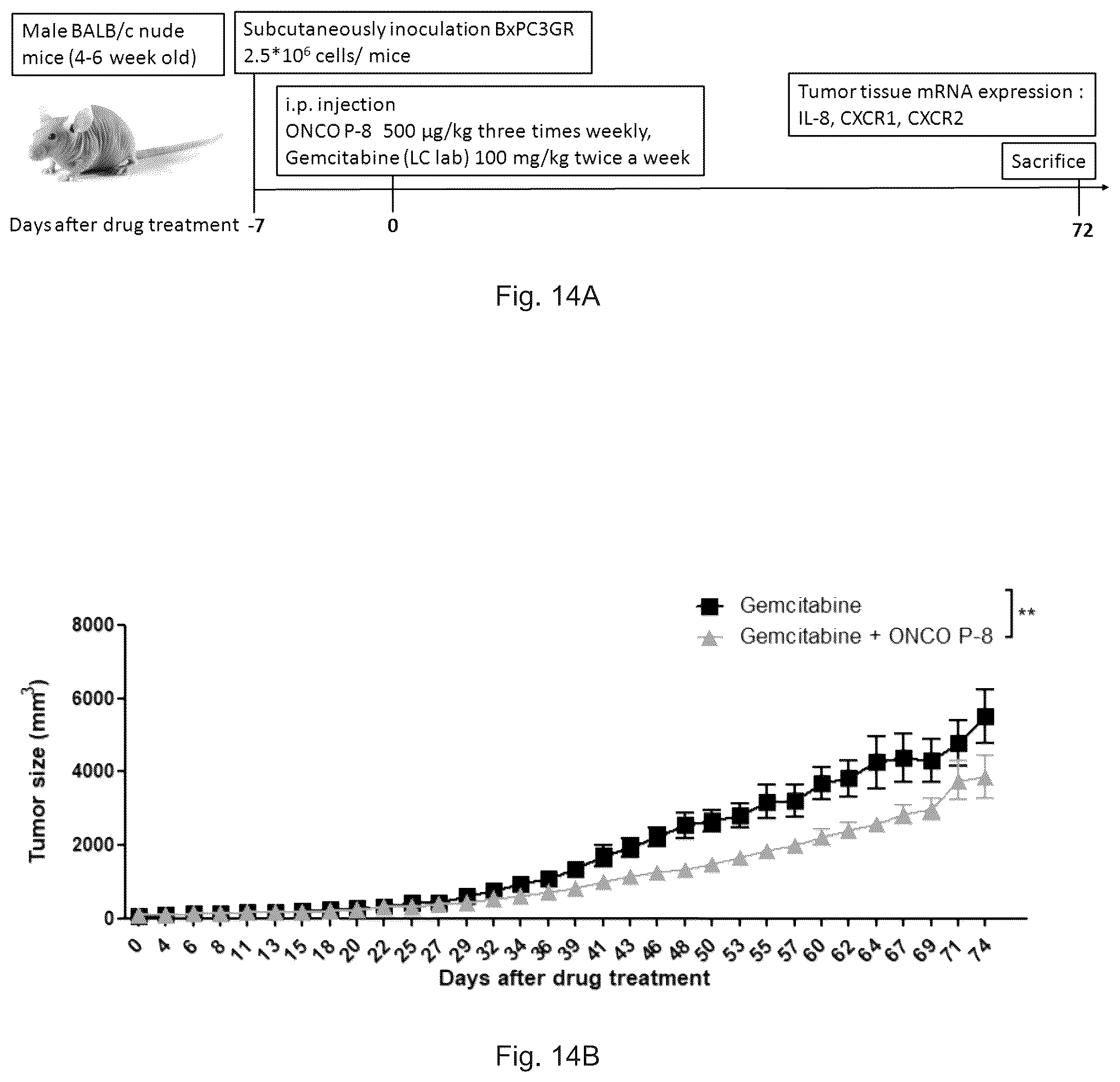 Patent US12472227 Figure 15 – Pharmaceutical compositions and use thereof for relieving resistance due to cancer chemotherapy and enhancing effect of cancer chemotherapy
